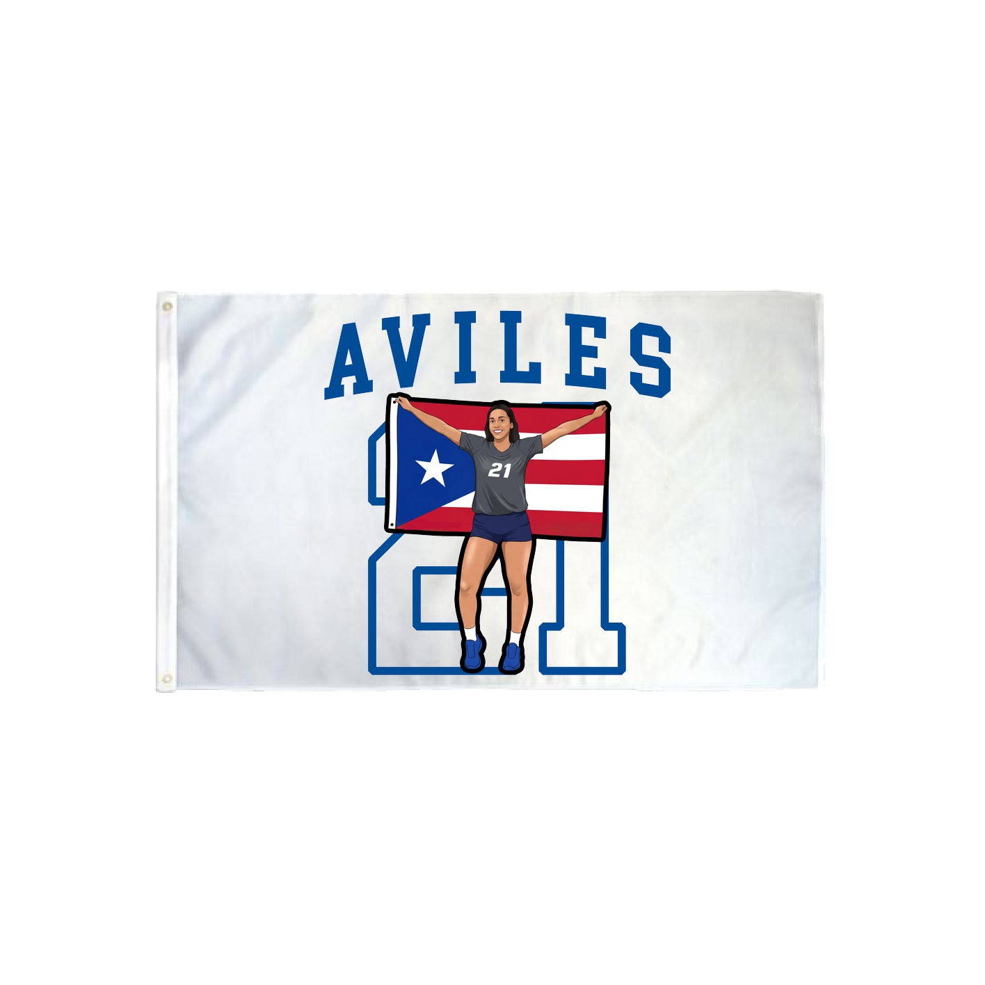 3x5 Flag — Shirsey in Classic