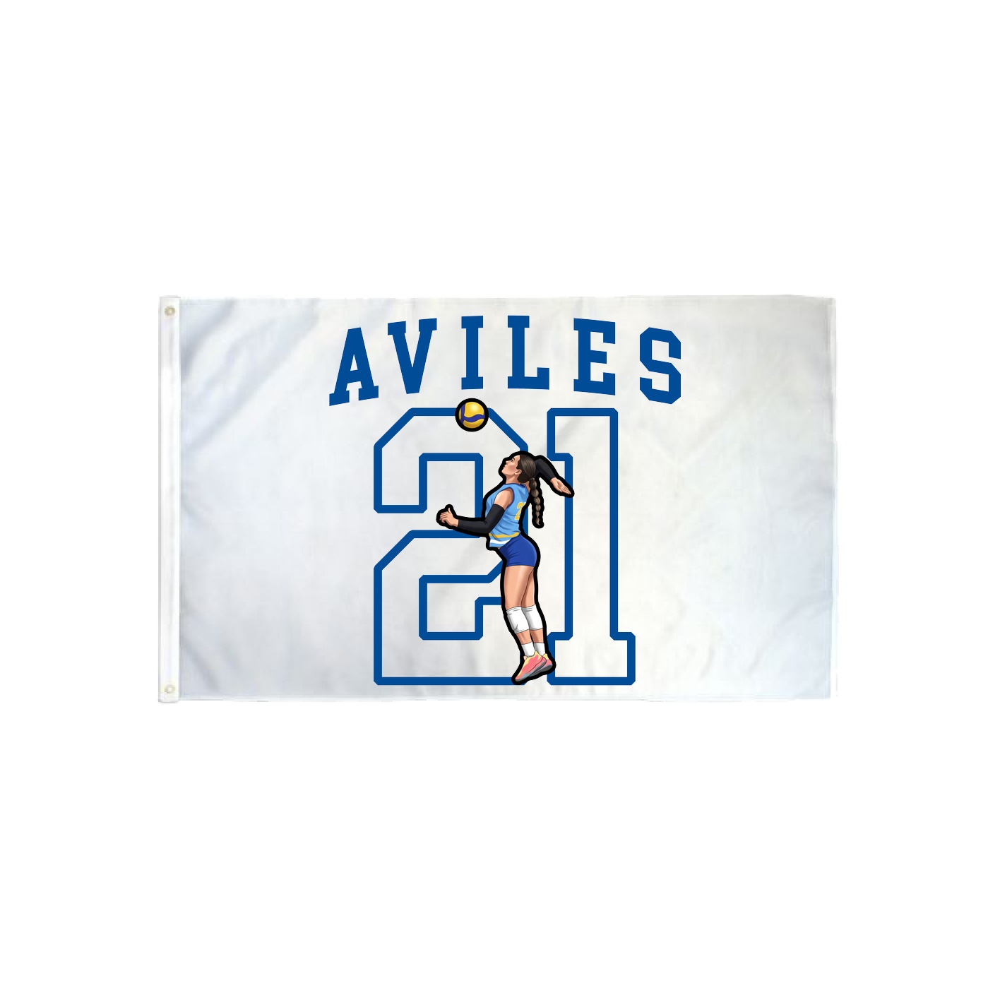 3x5 Flag — Shirsey in Classic