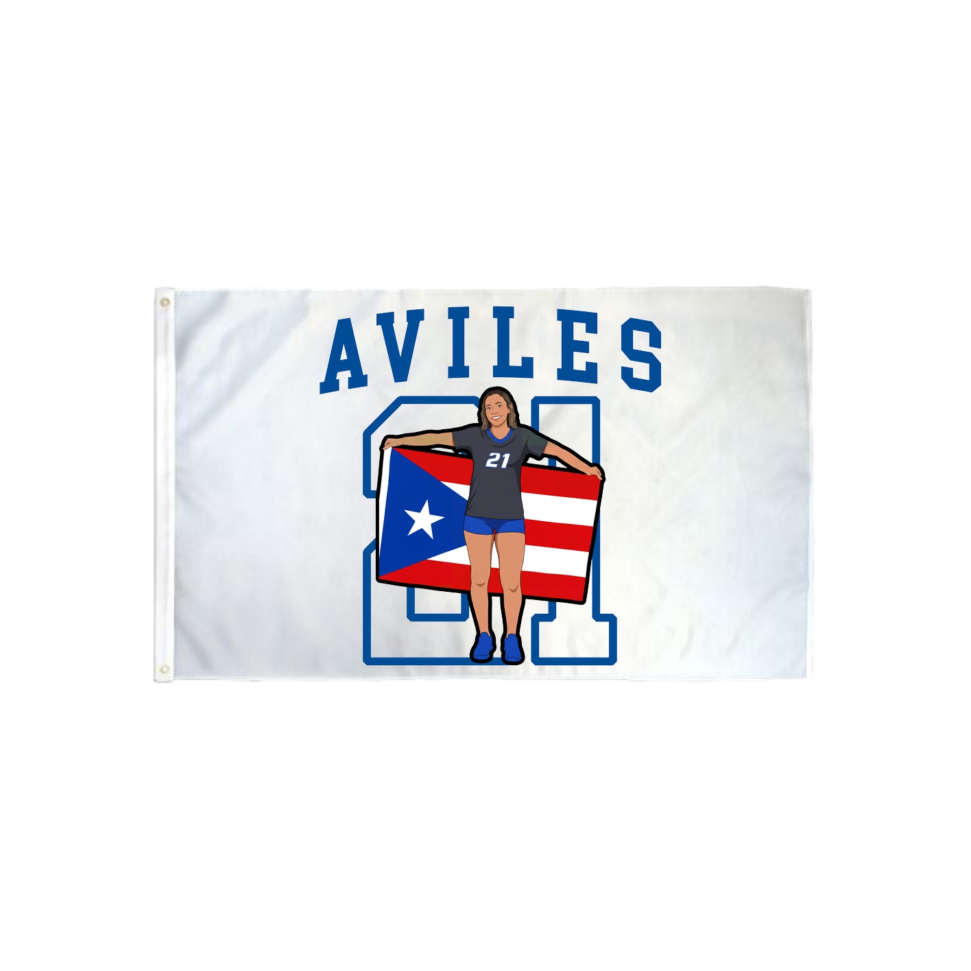 3x5 Flag — Shirsey in Classic