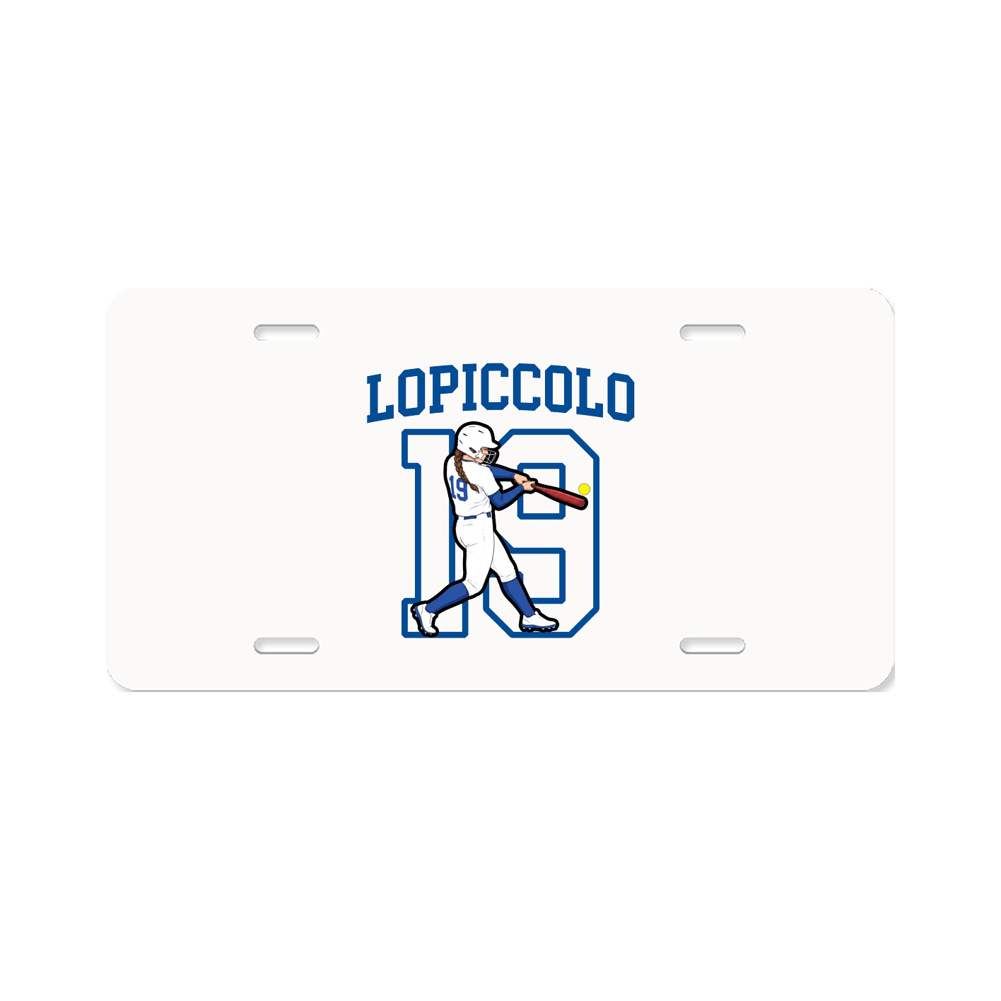 Aluminum License Plate