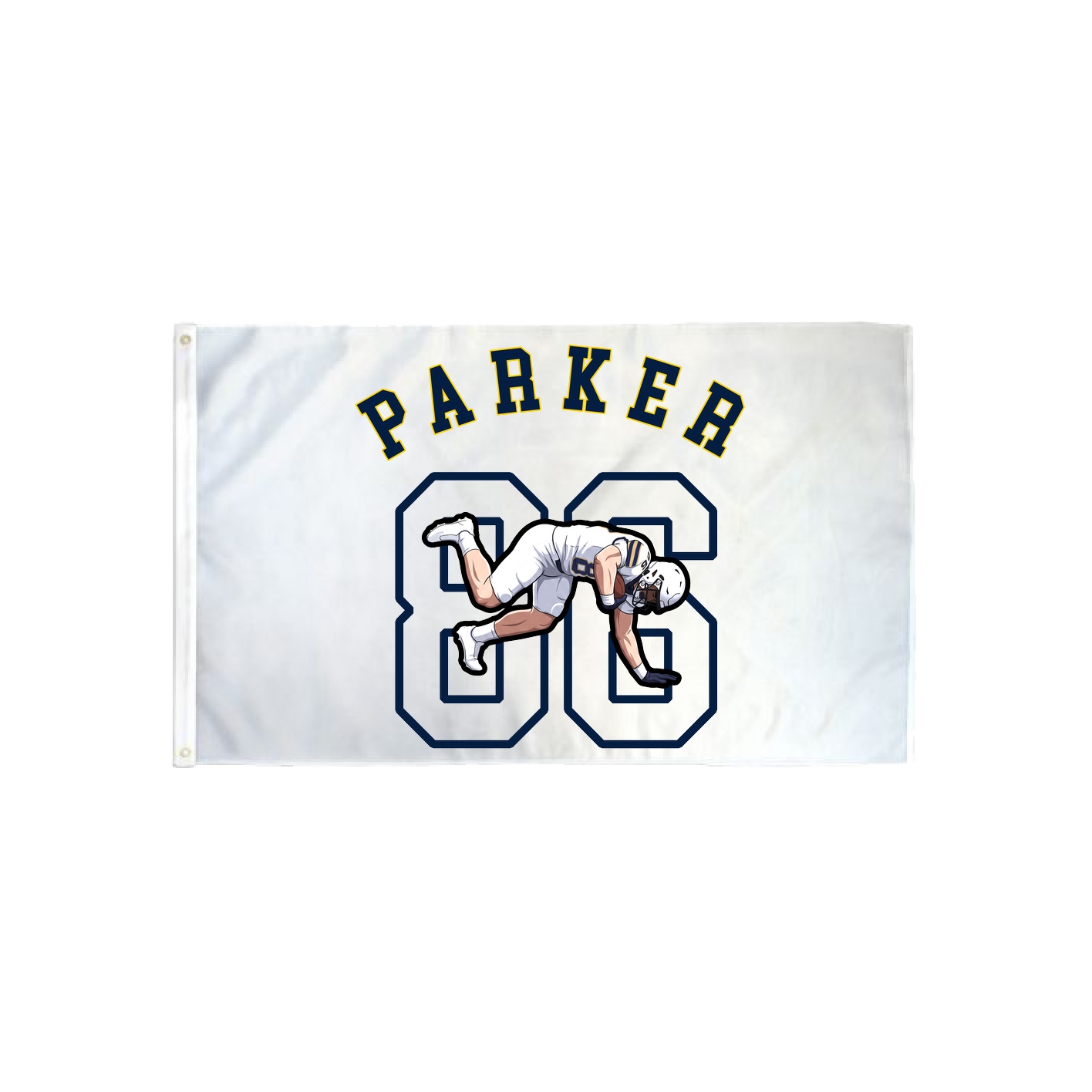 3x5 Flag — Shirsey Arch in Classic