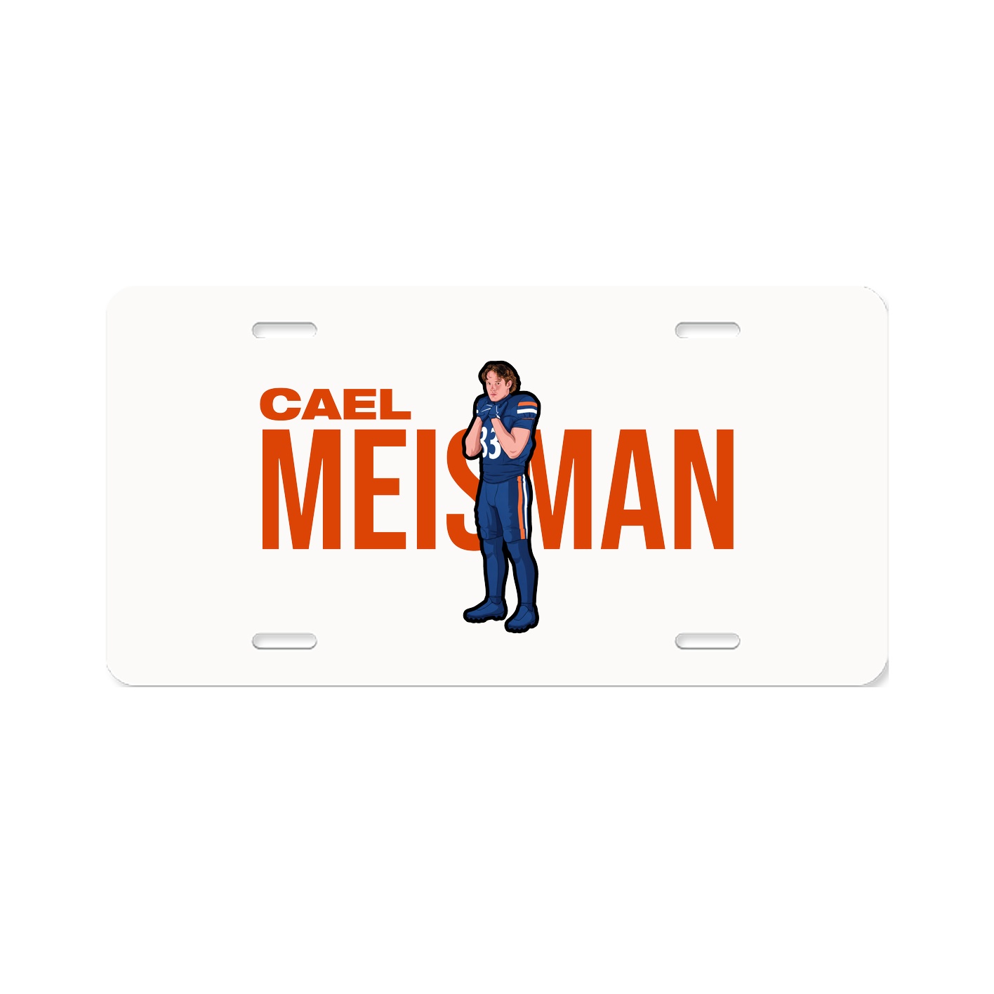 License Plate