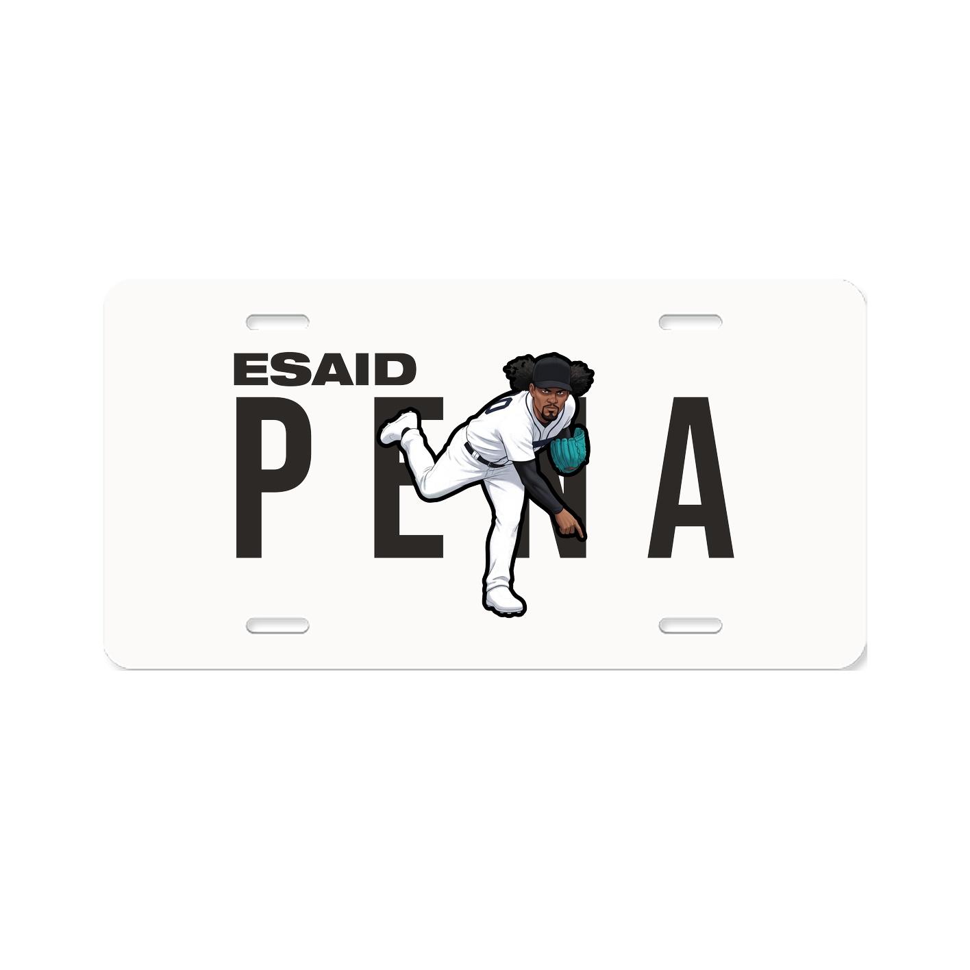 License Plate