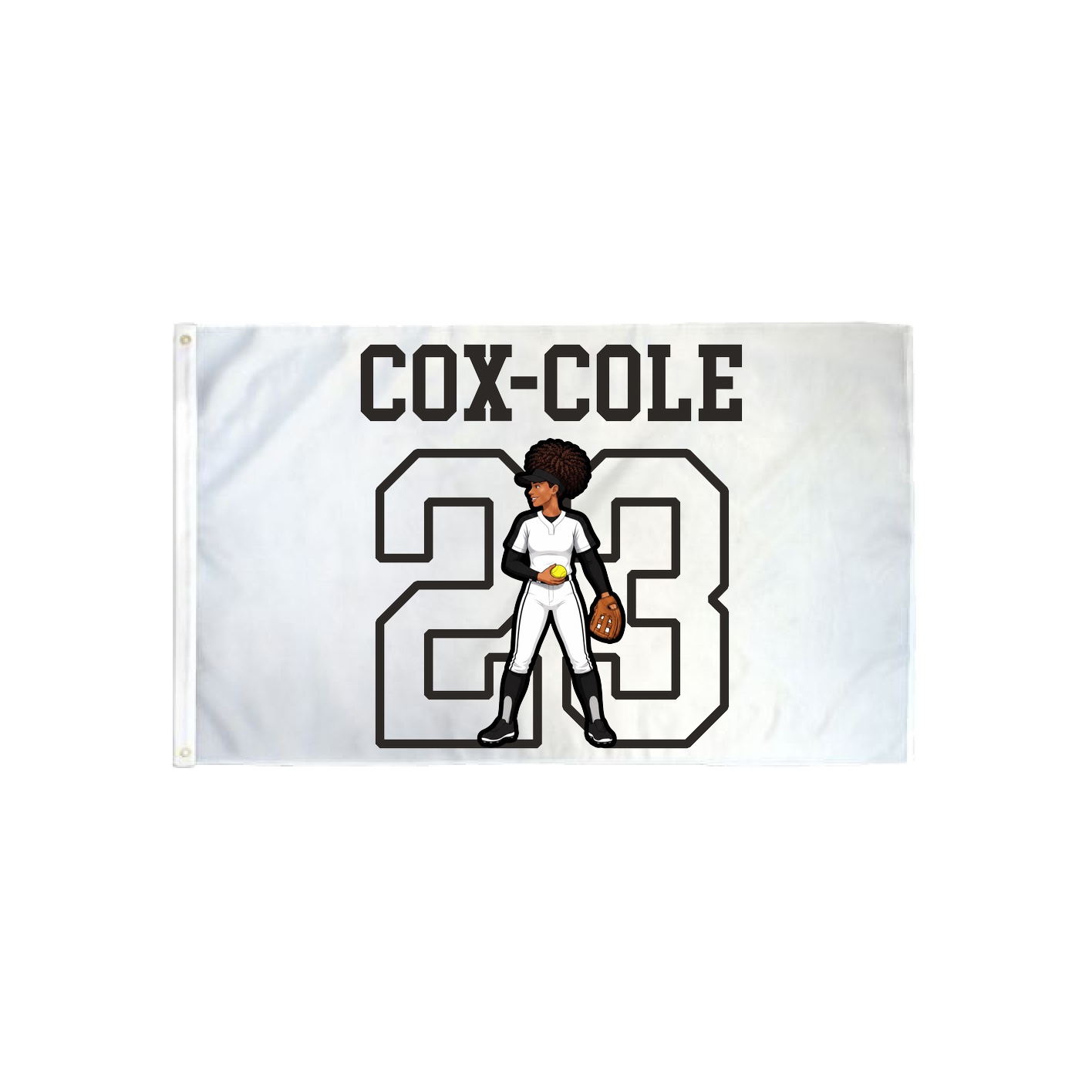 3x5 Flag — Shirsey in Classic