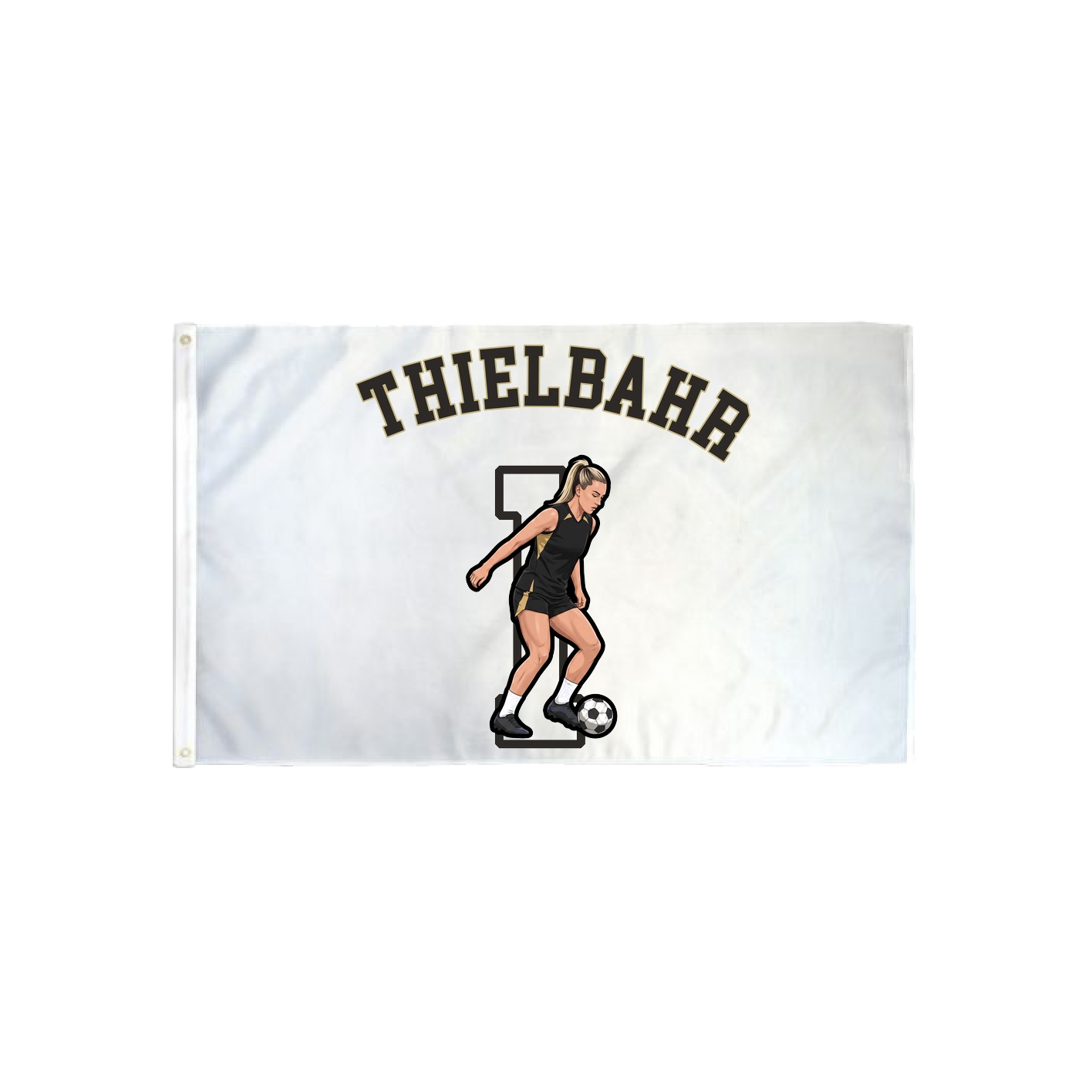 3x5 Flag — Shirsey Arch in Classic