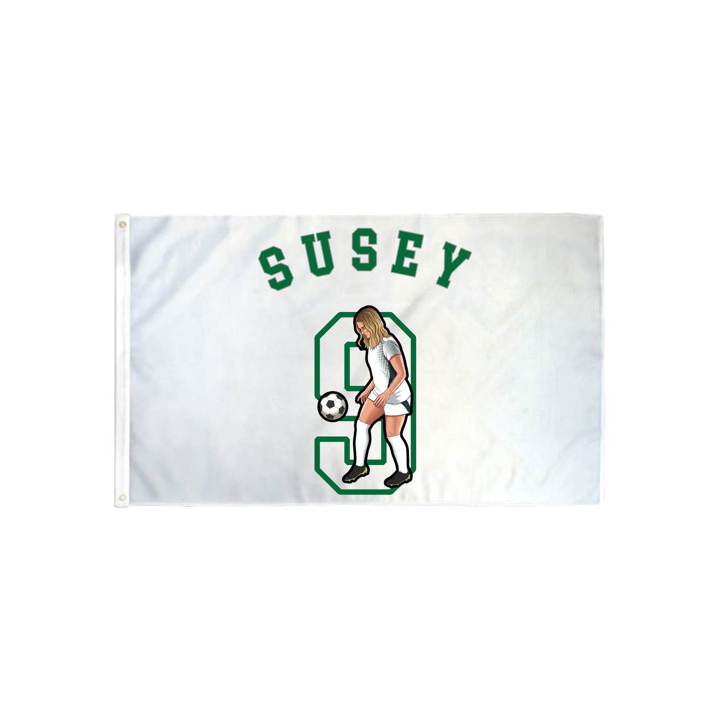 3x5 Flag — Shirsey Arch in Classic