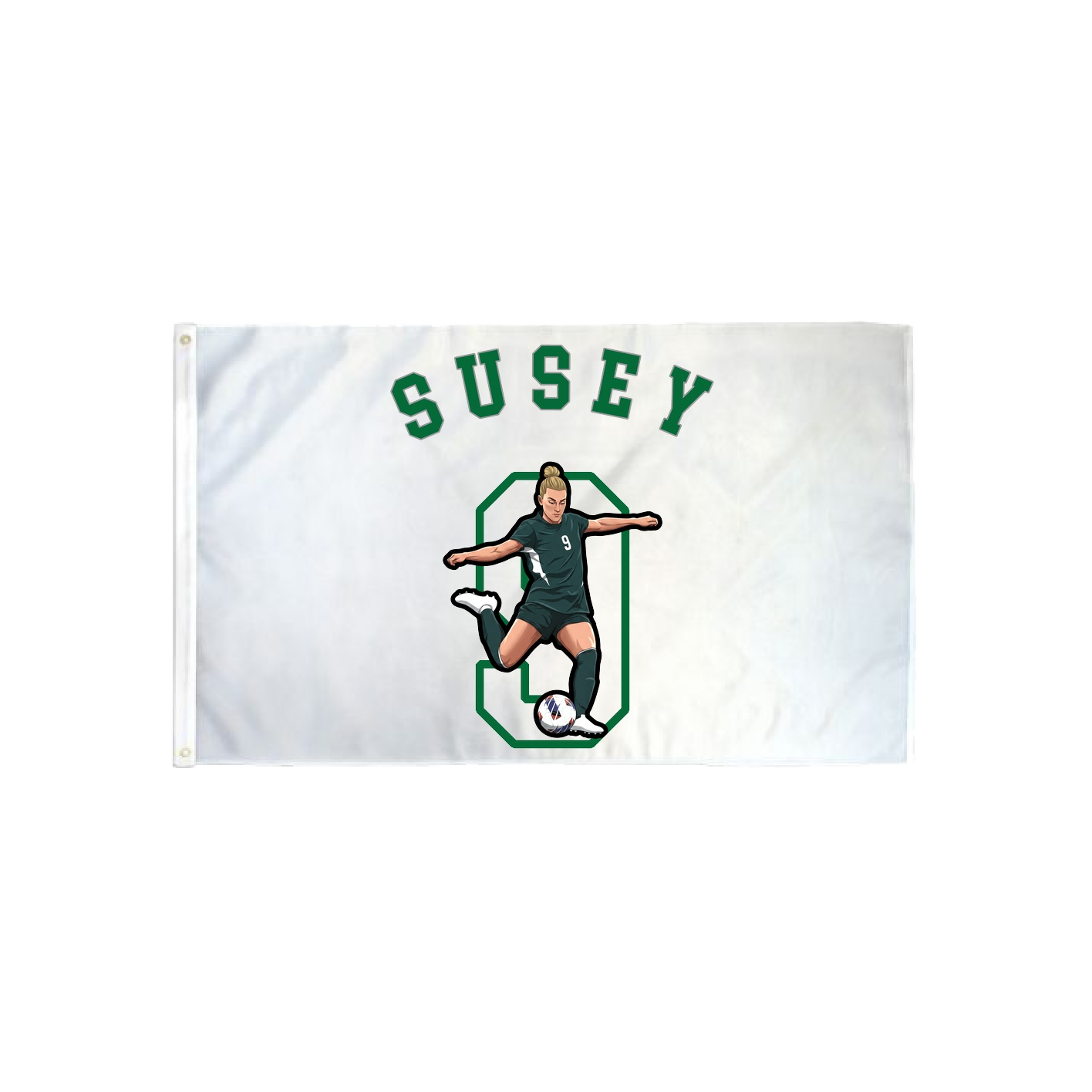 3x5 Flag — Shirsey Arch in Classic