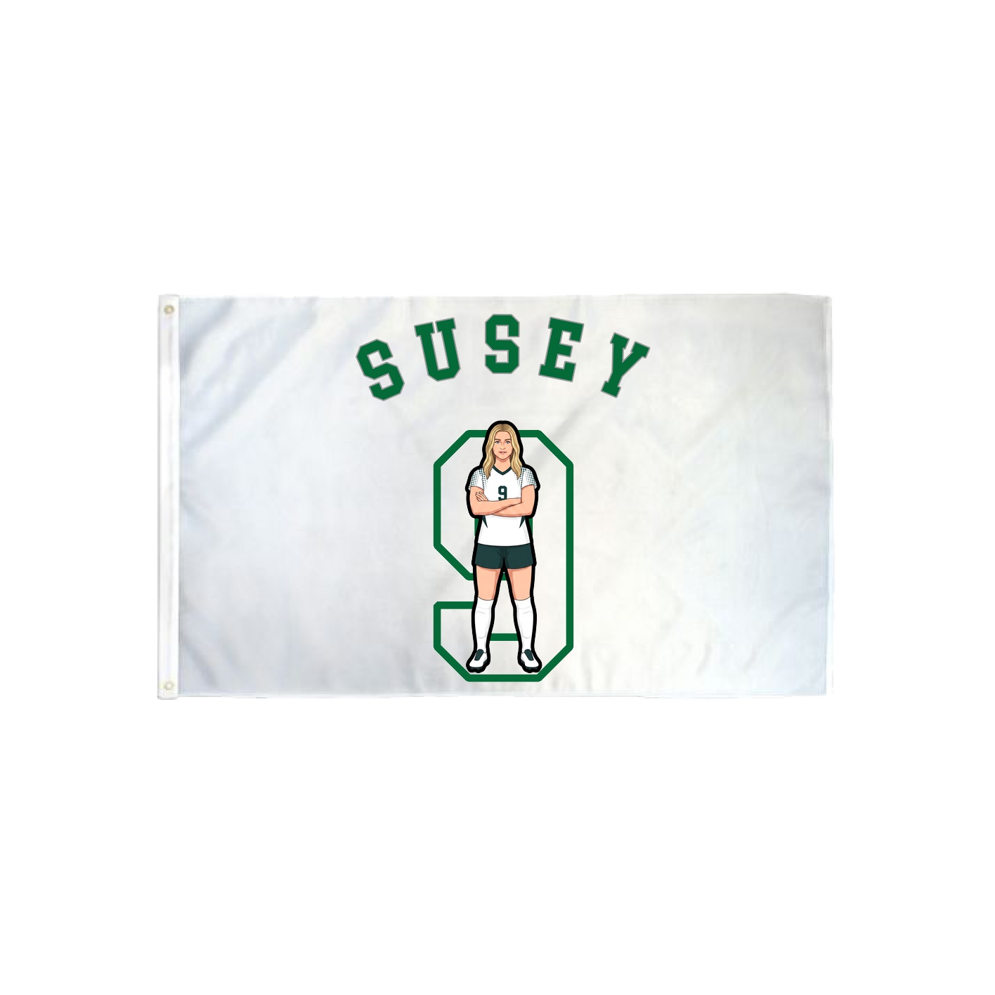 3x5 Flag — Shirsey Arch in Classic