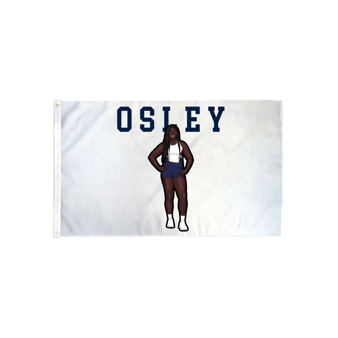 3x5 Flag — Shirsey in Classic