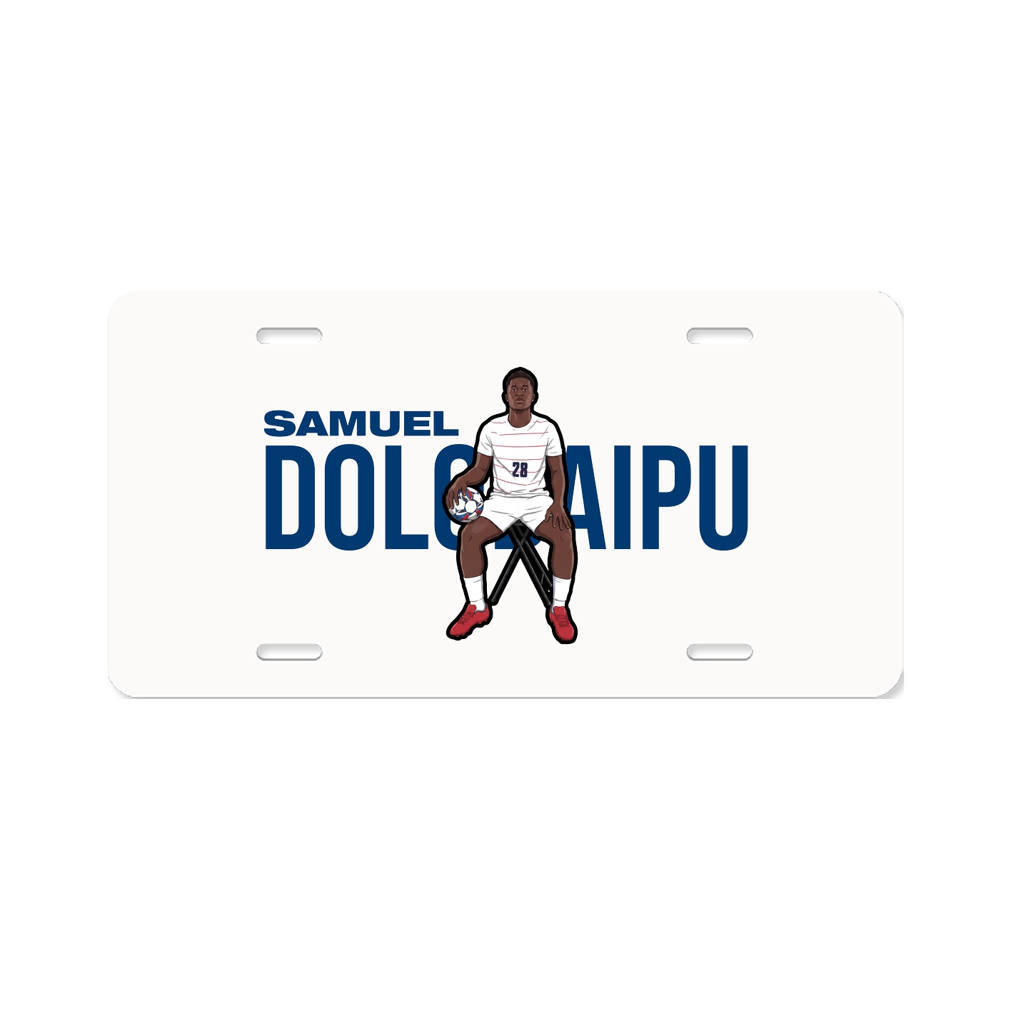 License Plate
