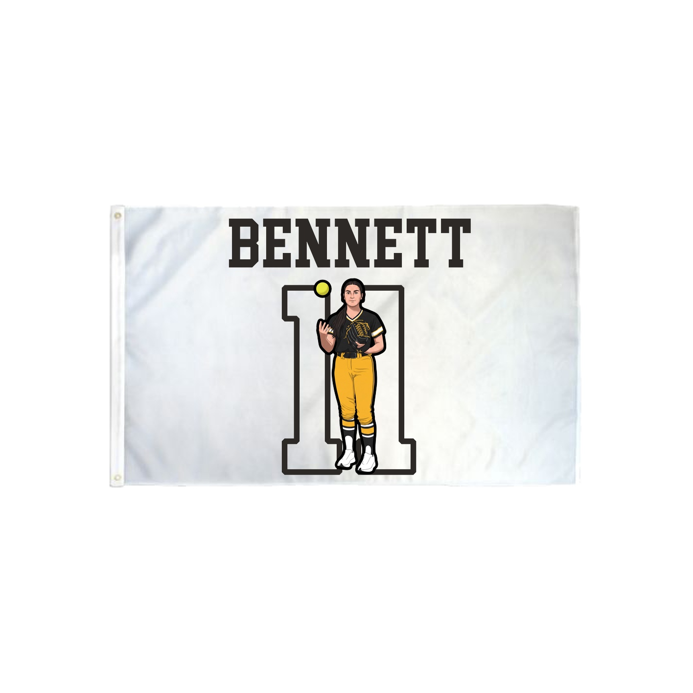 3x5 Flag — Shirsey in Classic