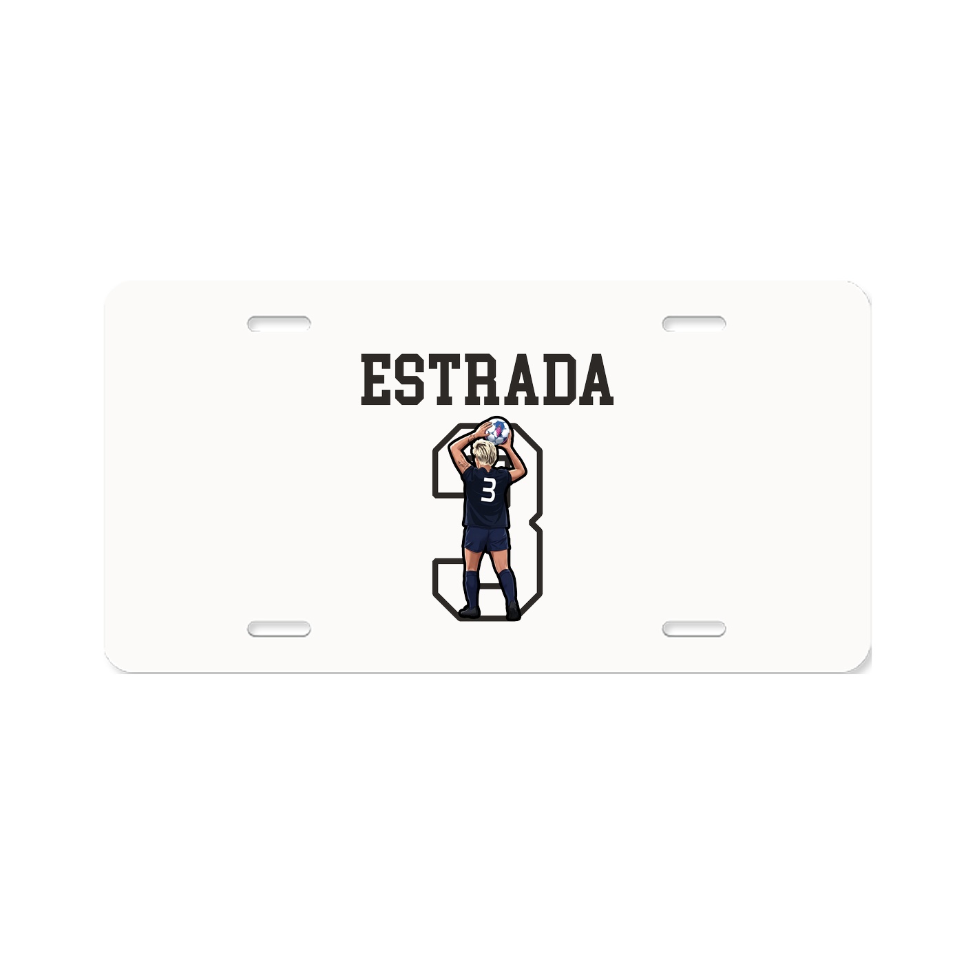 Aluminum License Plate