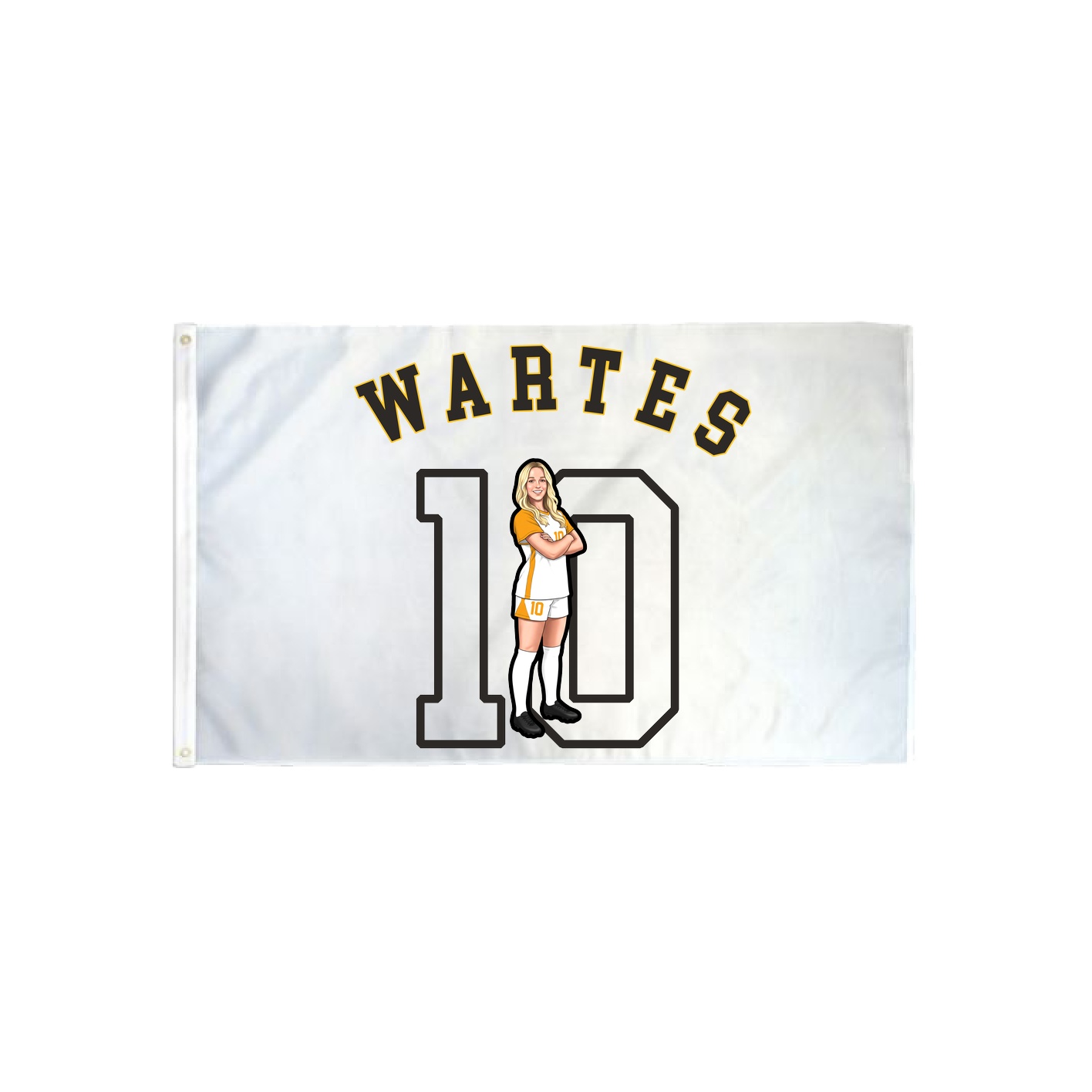 3x5 Flag — Shirsey Arch in Classic