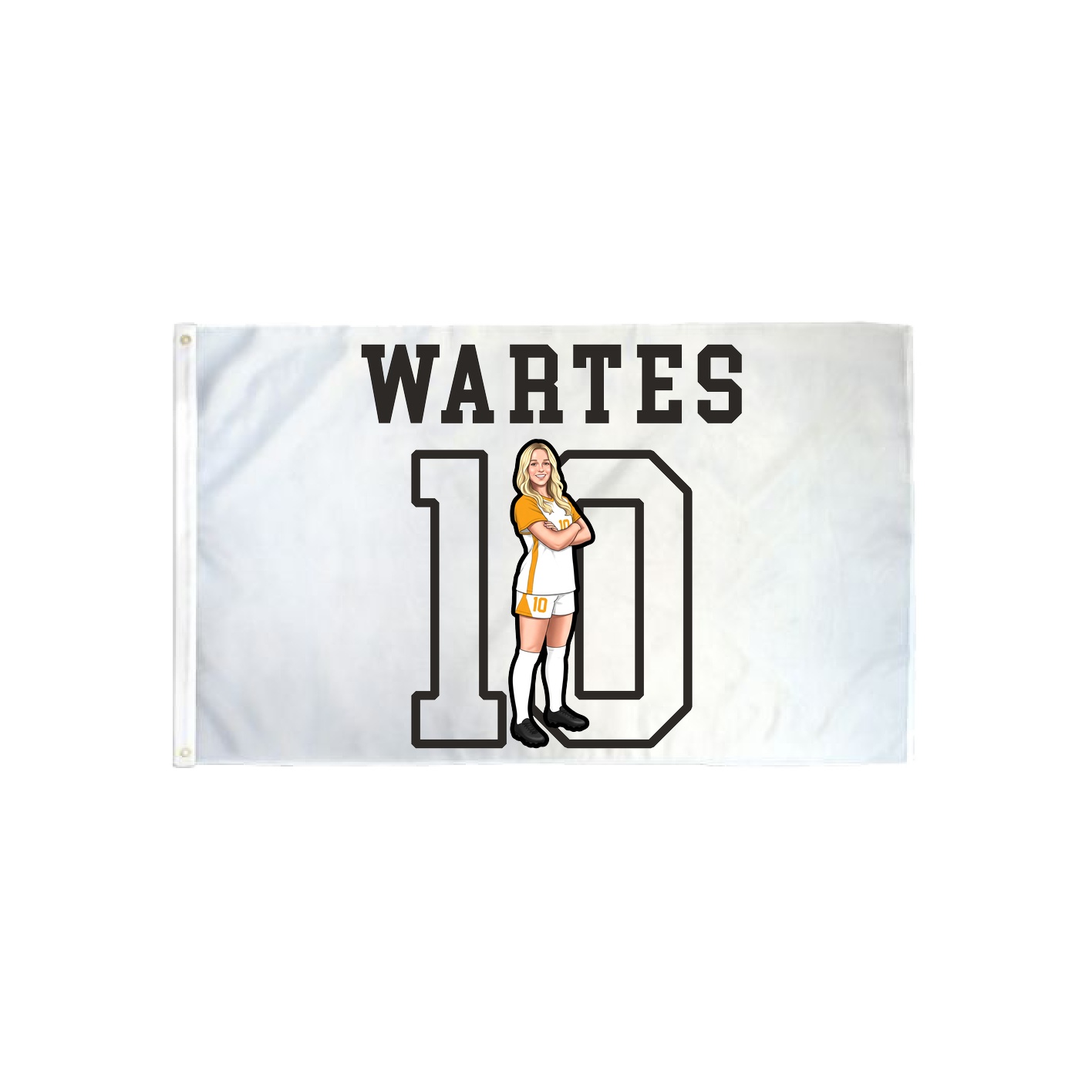 3x5 Flag — Shirsey in Classic