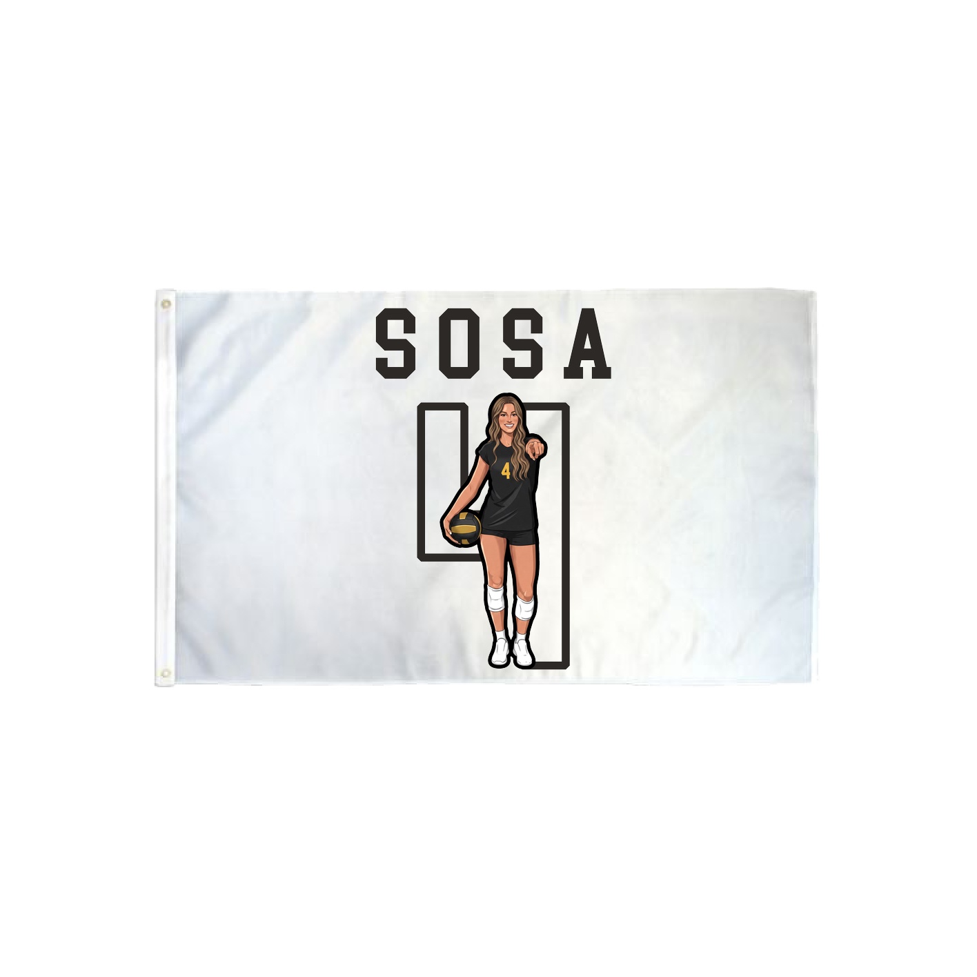 3x5 Flag — Shirsey in Classic