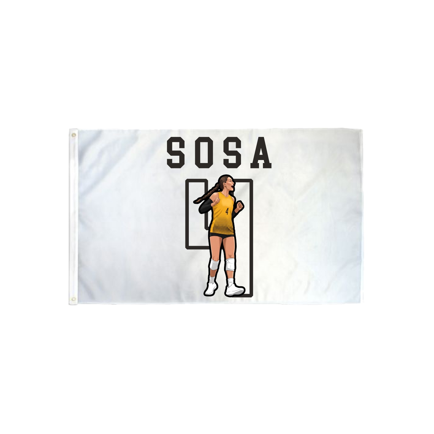 3x5 Flag — Shirsey in Classic