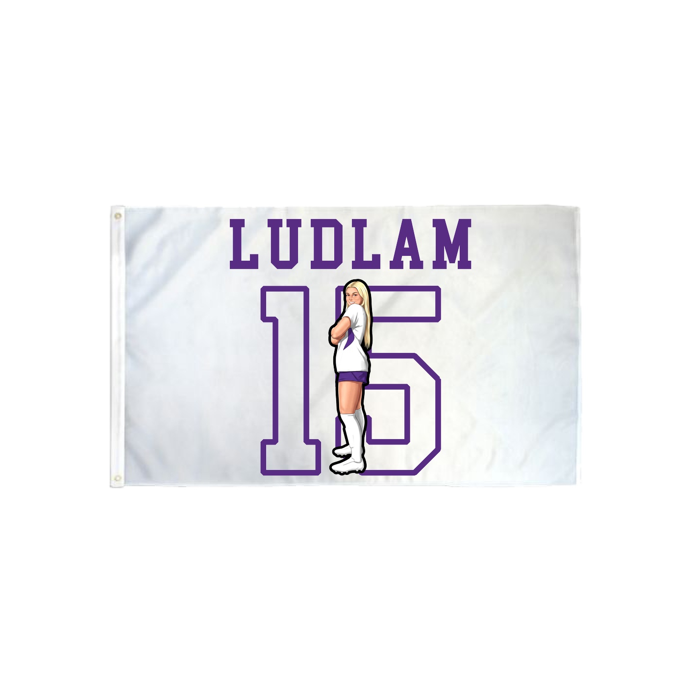 3x5 Flag — Shirsey in Classic