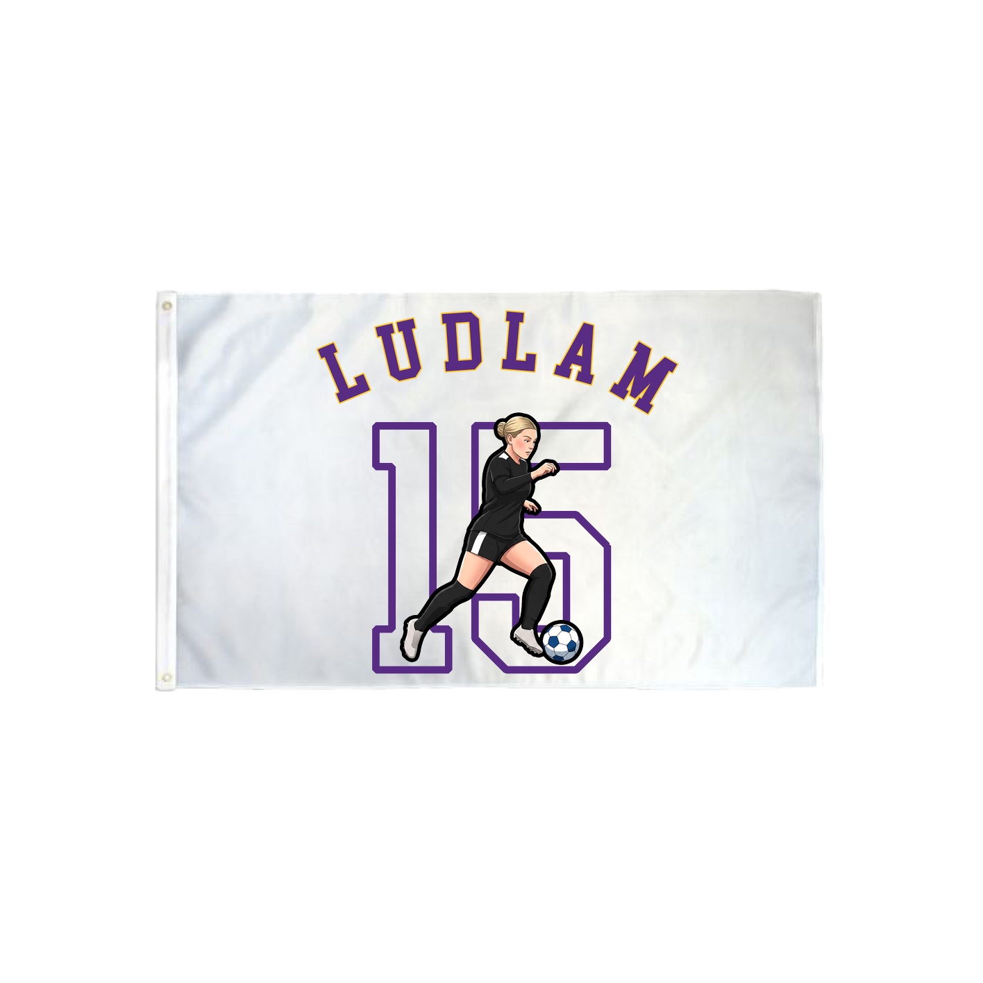 3x5 Flag — Shirsey Arch in Classic
