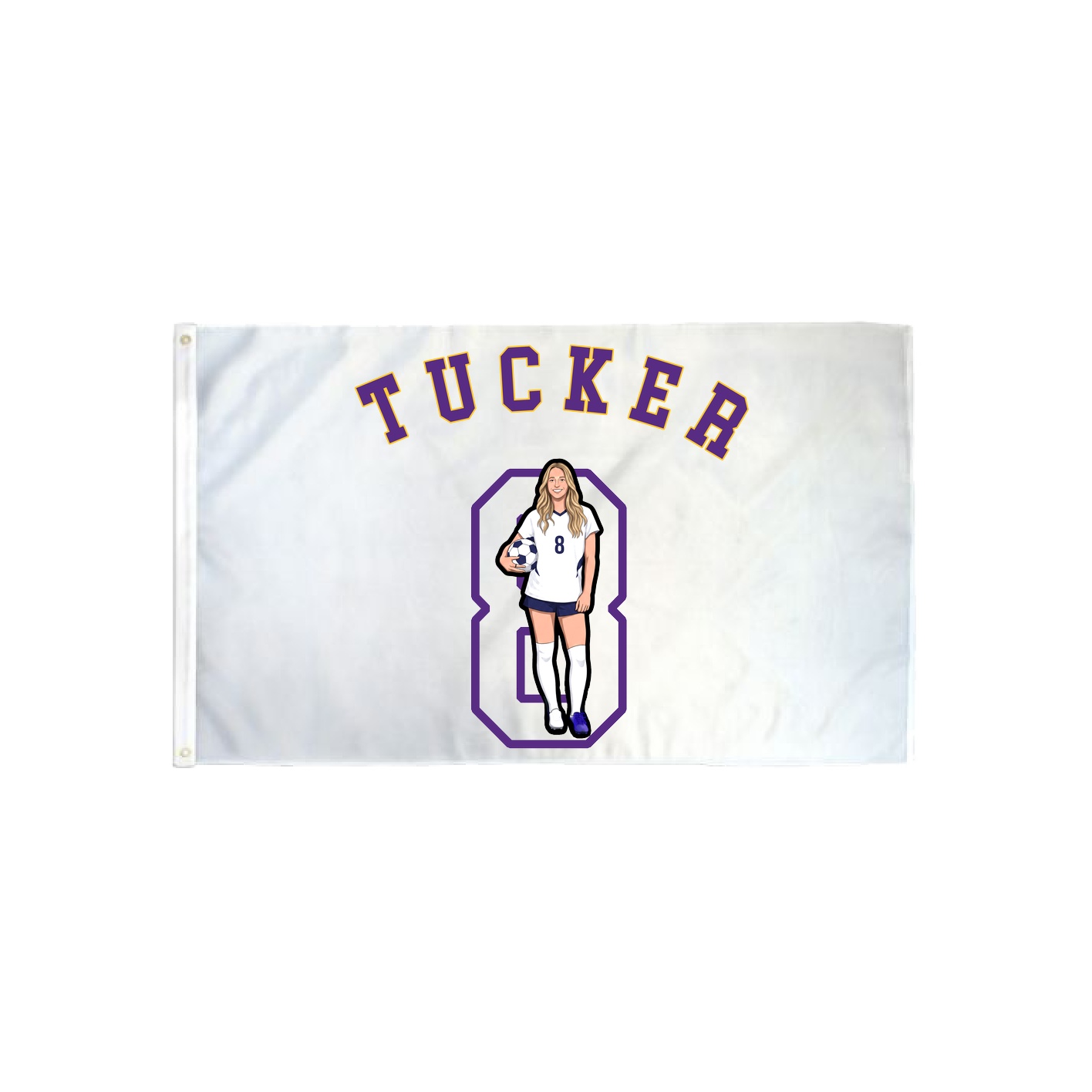 3x5 Flag — Shirsey Arch in Classic