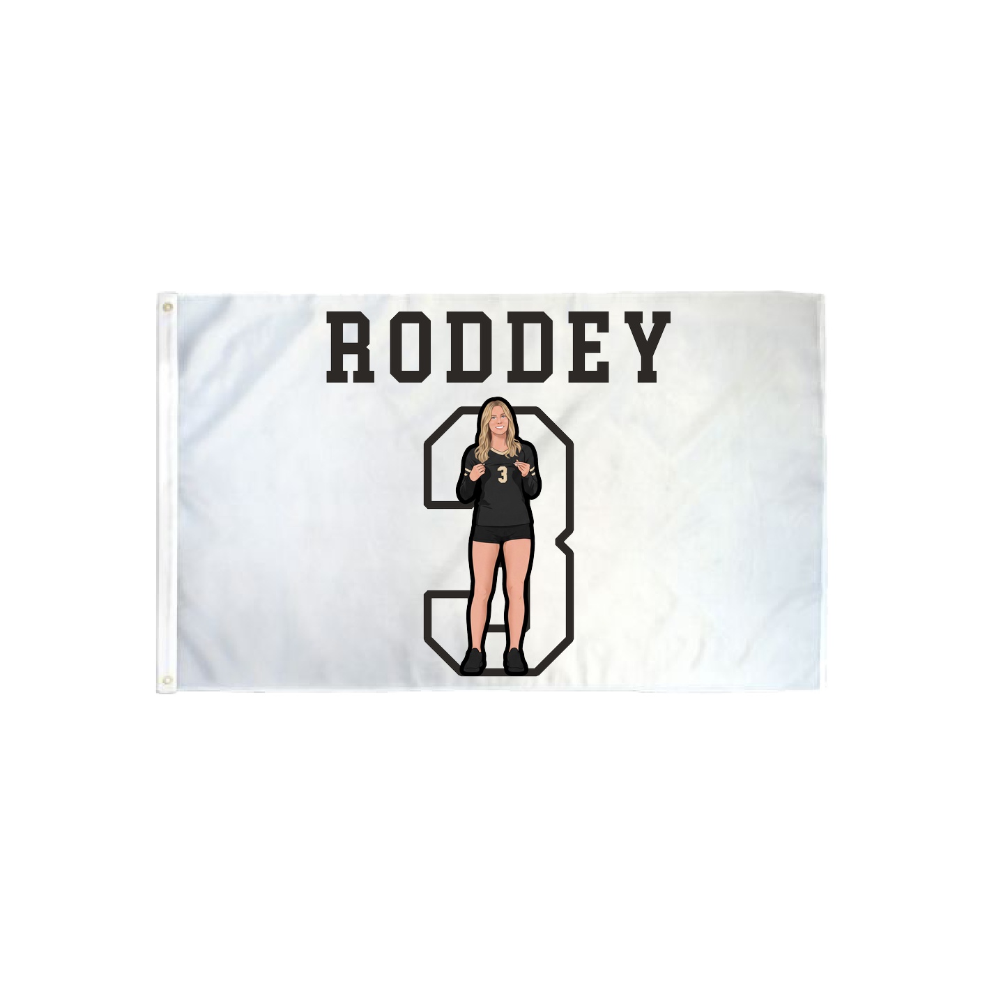 3x5 Flag — Shirsey in Classic