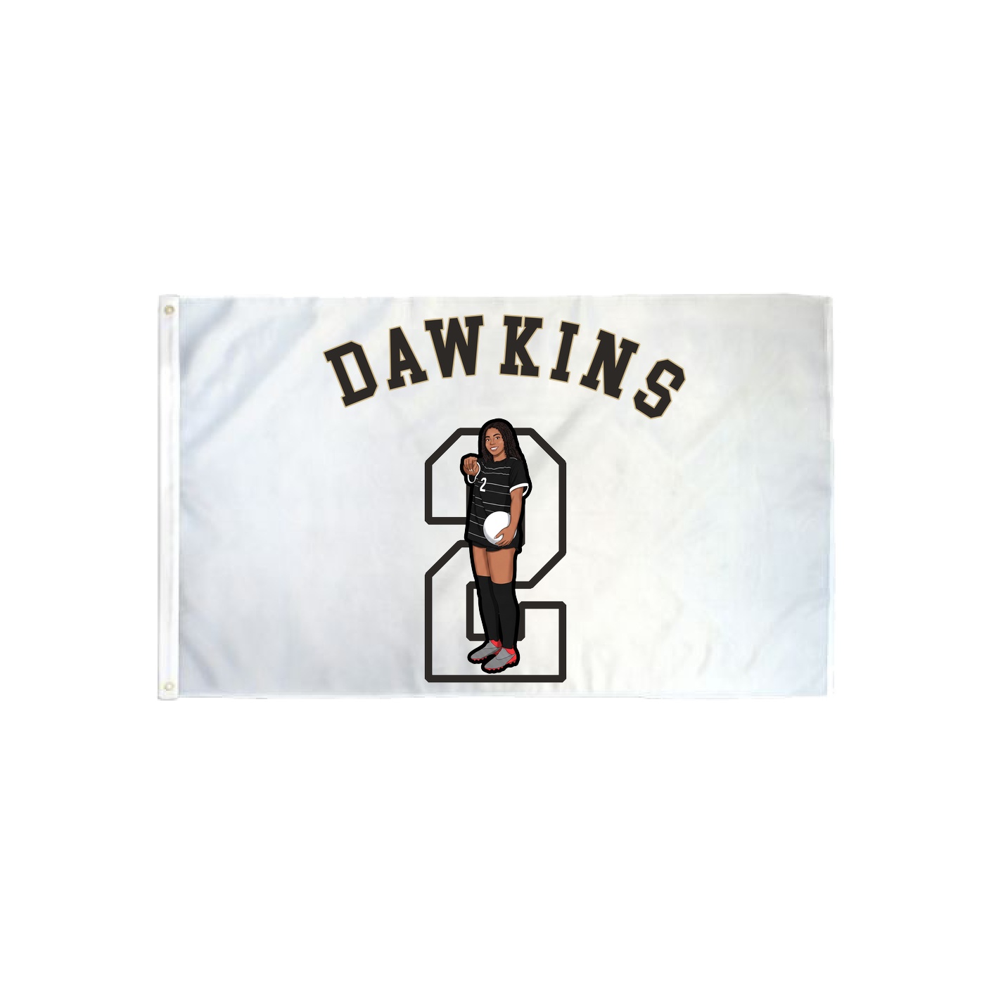 3x5 Flag — Shirsey Arch in Classic