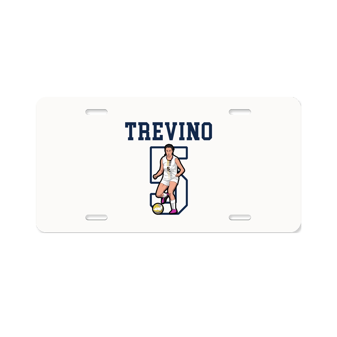 License Plate