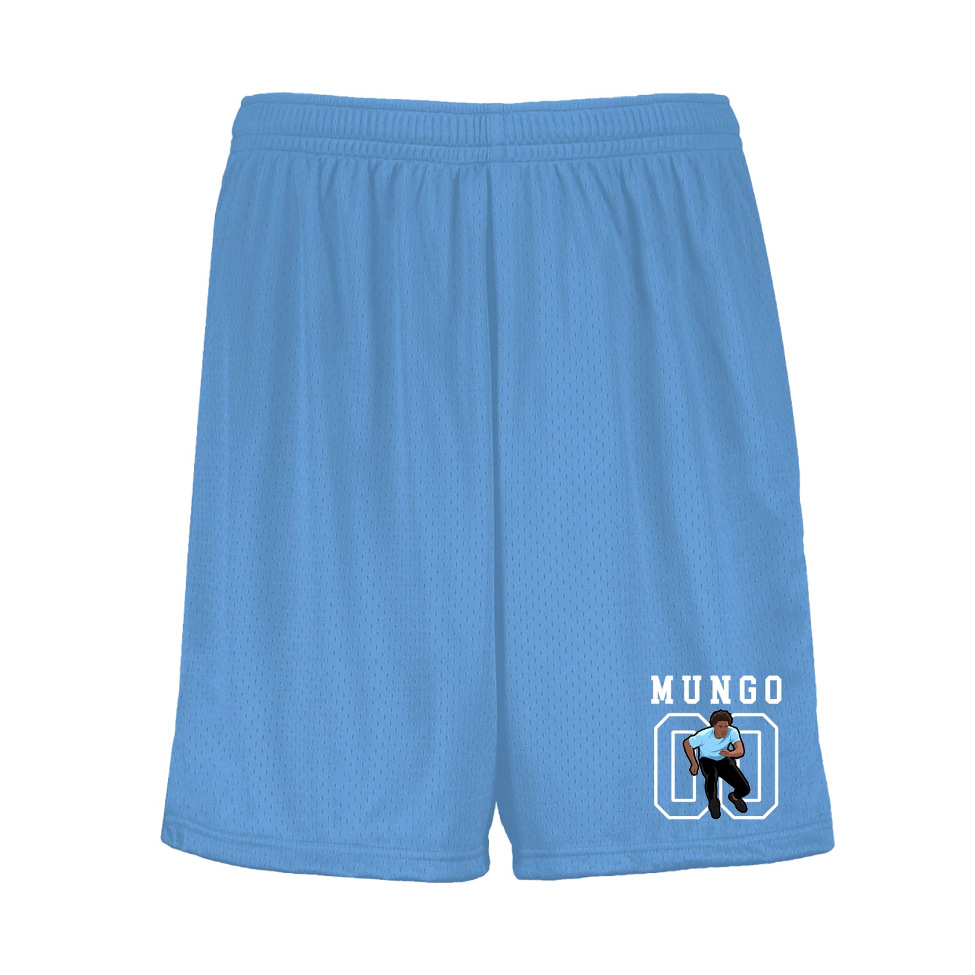 Shorts — Shirsey in Light Blue