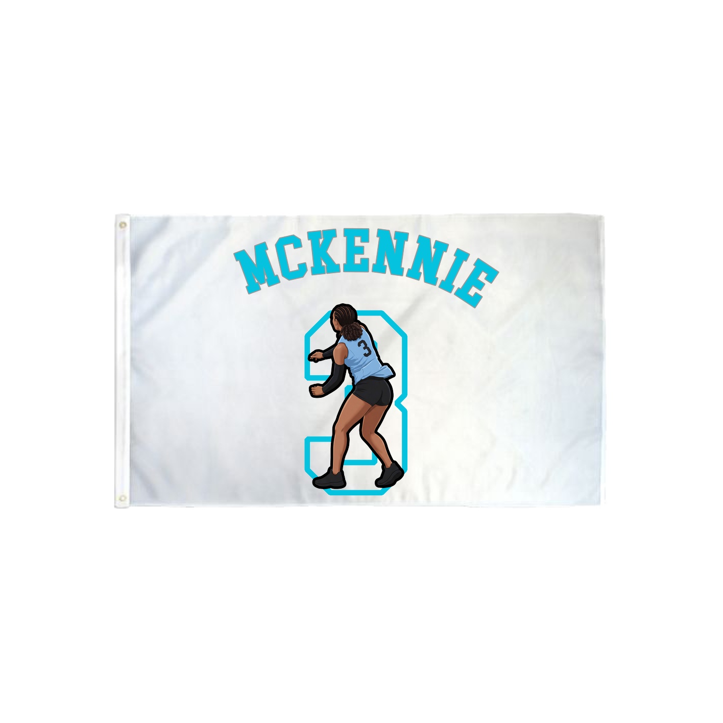 3x5 Flag — Shirsey Arch in Classic