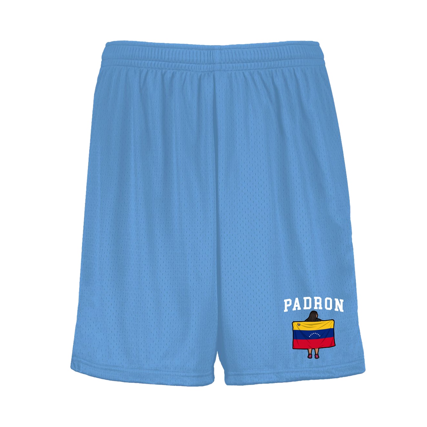 Shorts — Shirsey in Light Blue