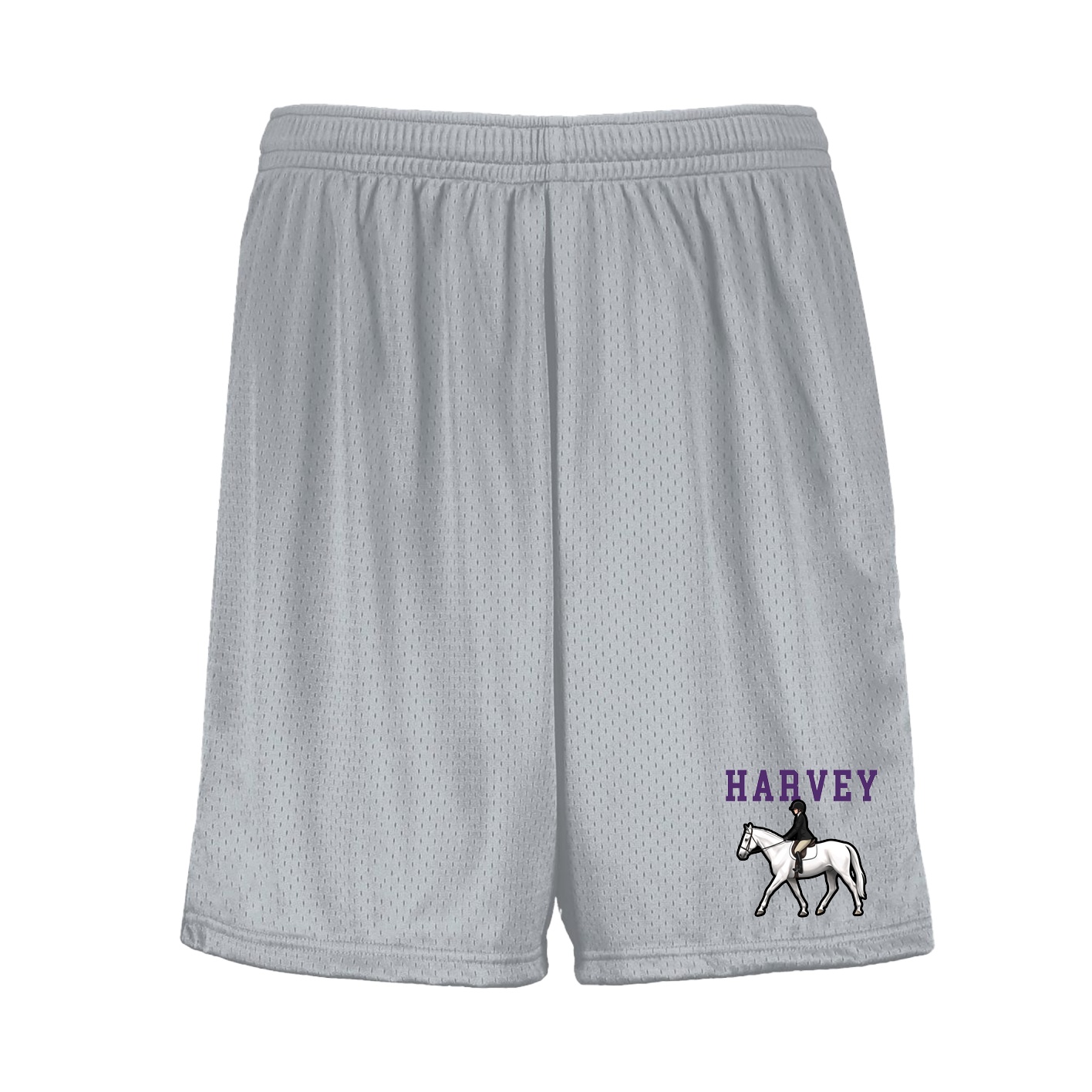 Shorts — Shirsey in Silver