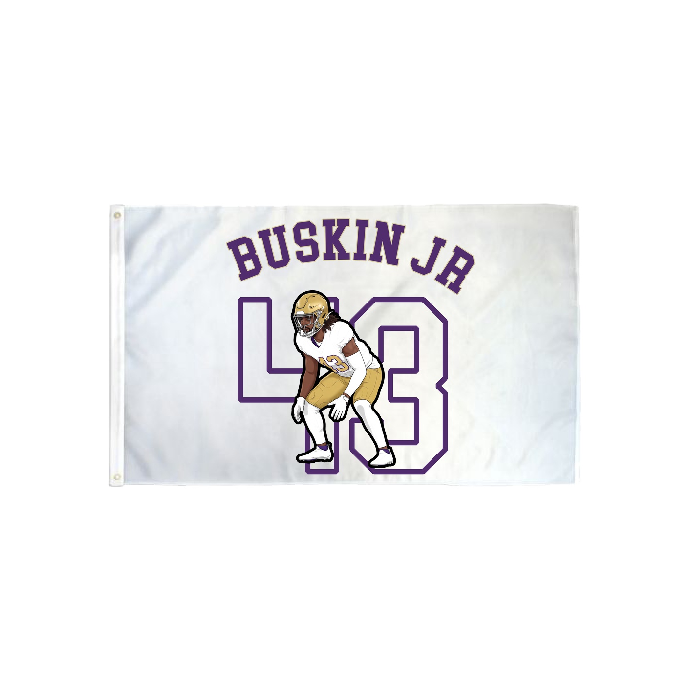 3x5 Flag — Shirsey Arch in Classic