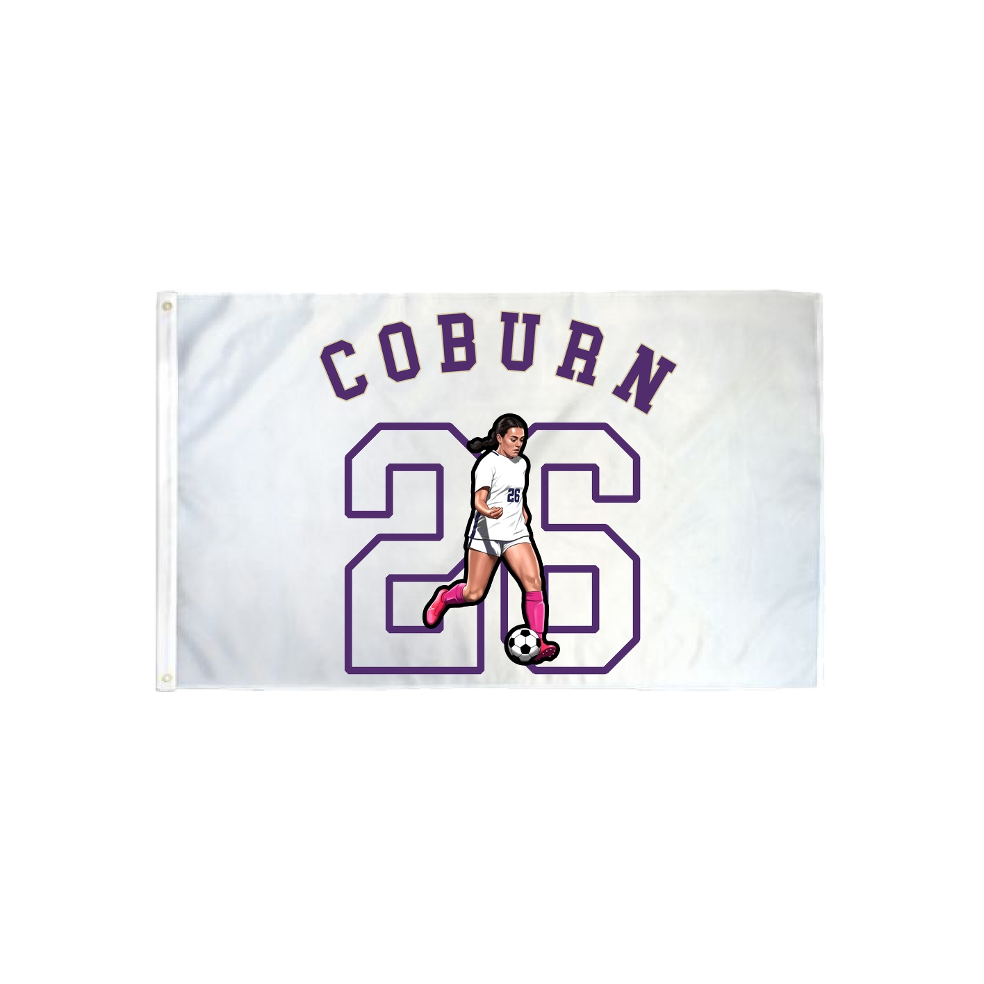 3x5 Flag — Shirsey Arch in Classic