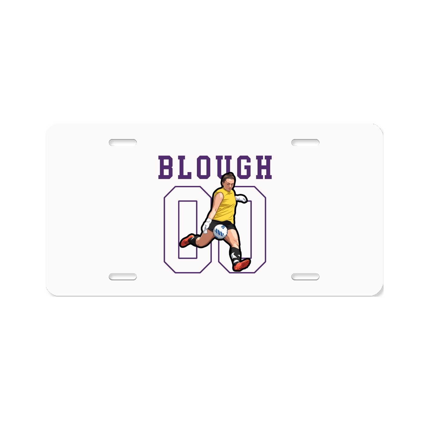 Aluminum License Plate