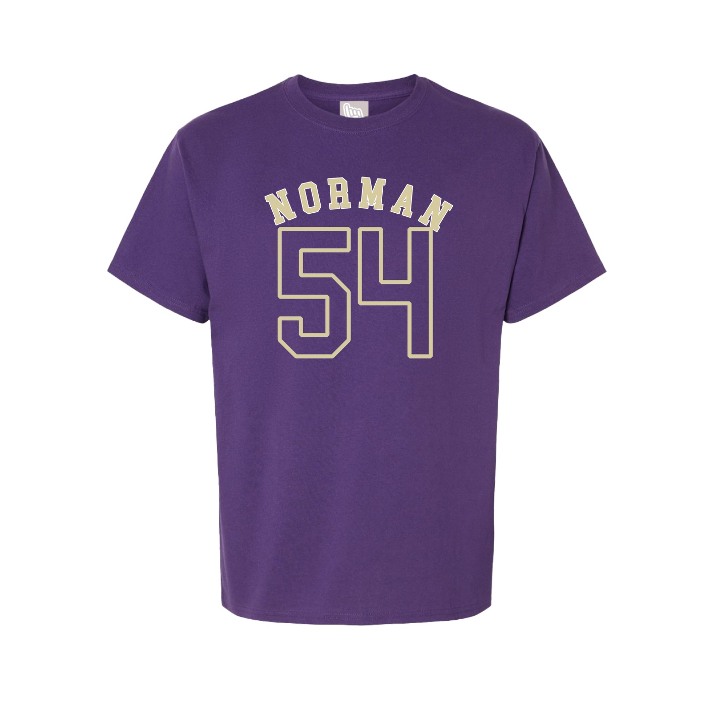 Youth Tee — Shirsey Arch in Purple