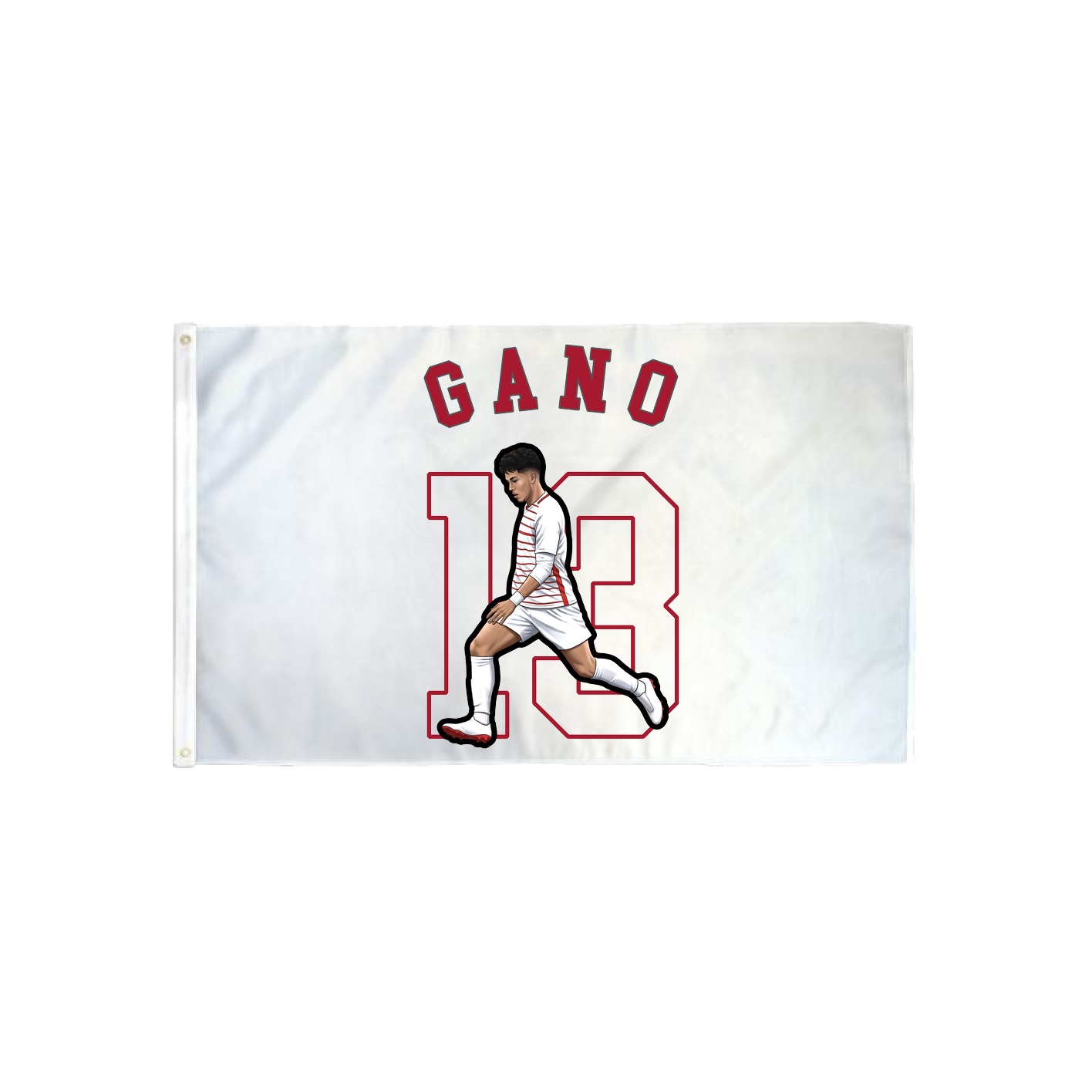 3x5 Flag — Shirsey Arch in Classic