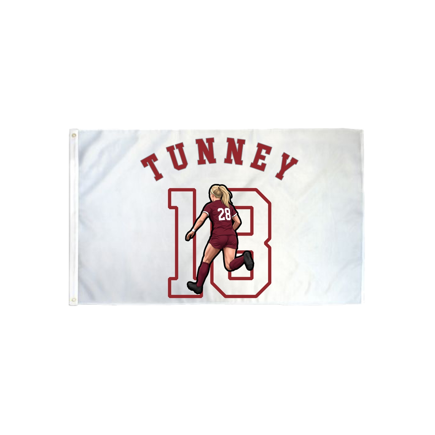 3x5 Flag — Shirsey Arch in Classic