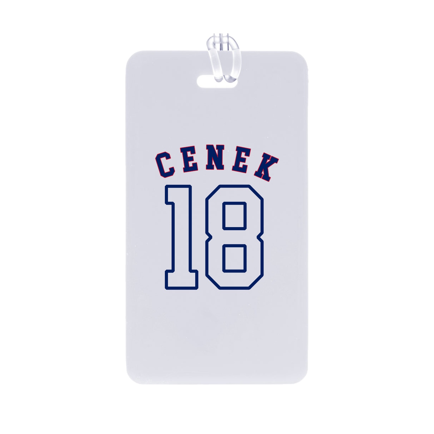 Bag Tag — Shirsey Arch in Classic
