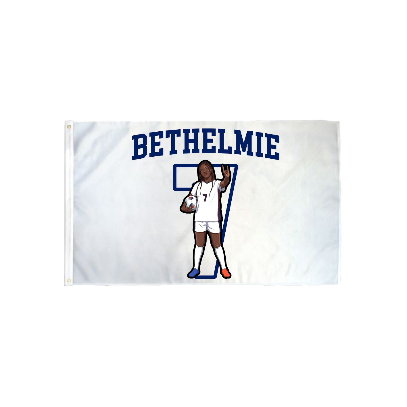 3x5 Flag — Shirsey in Classic