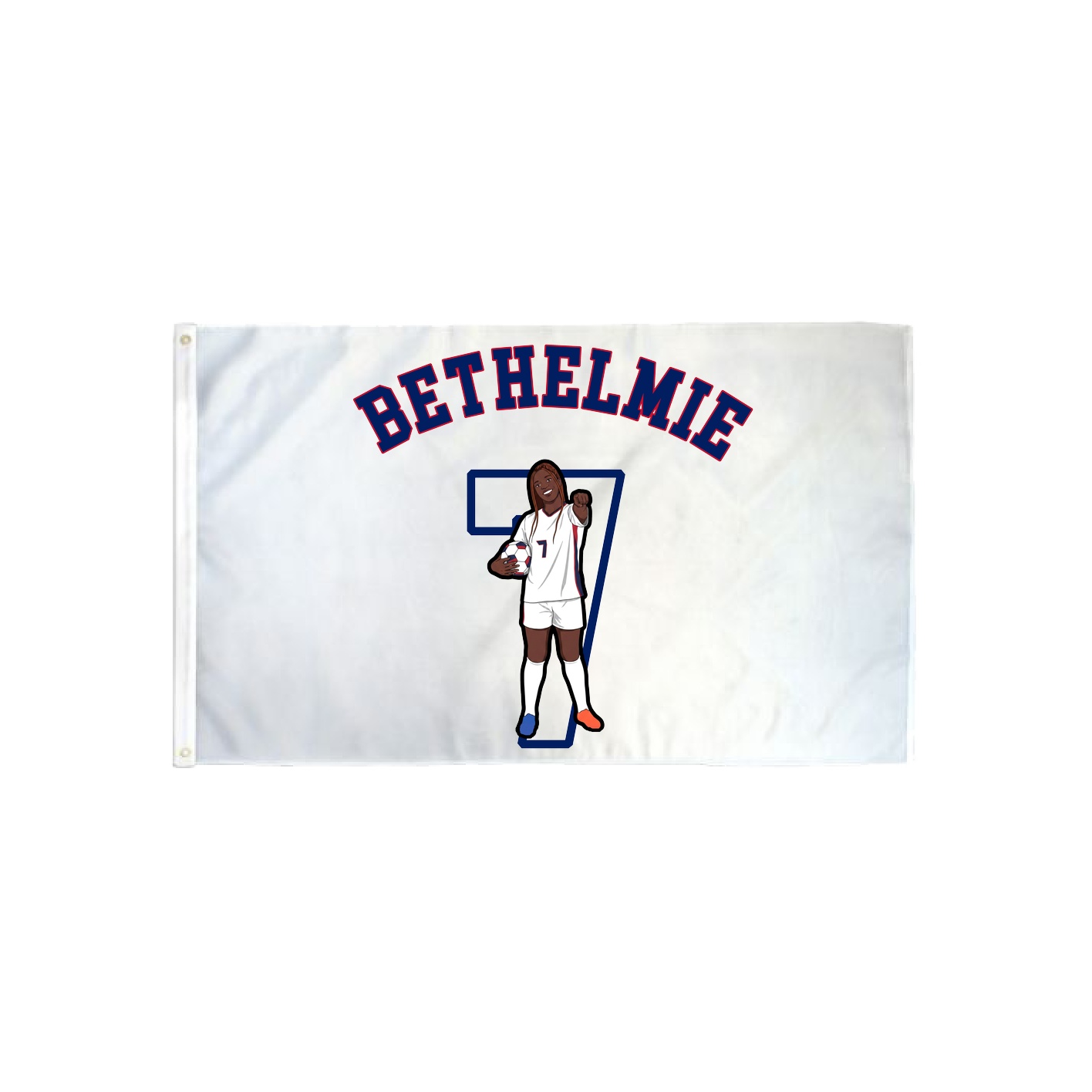 3x5 Flag — Shirsey Arch in Classic