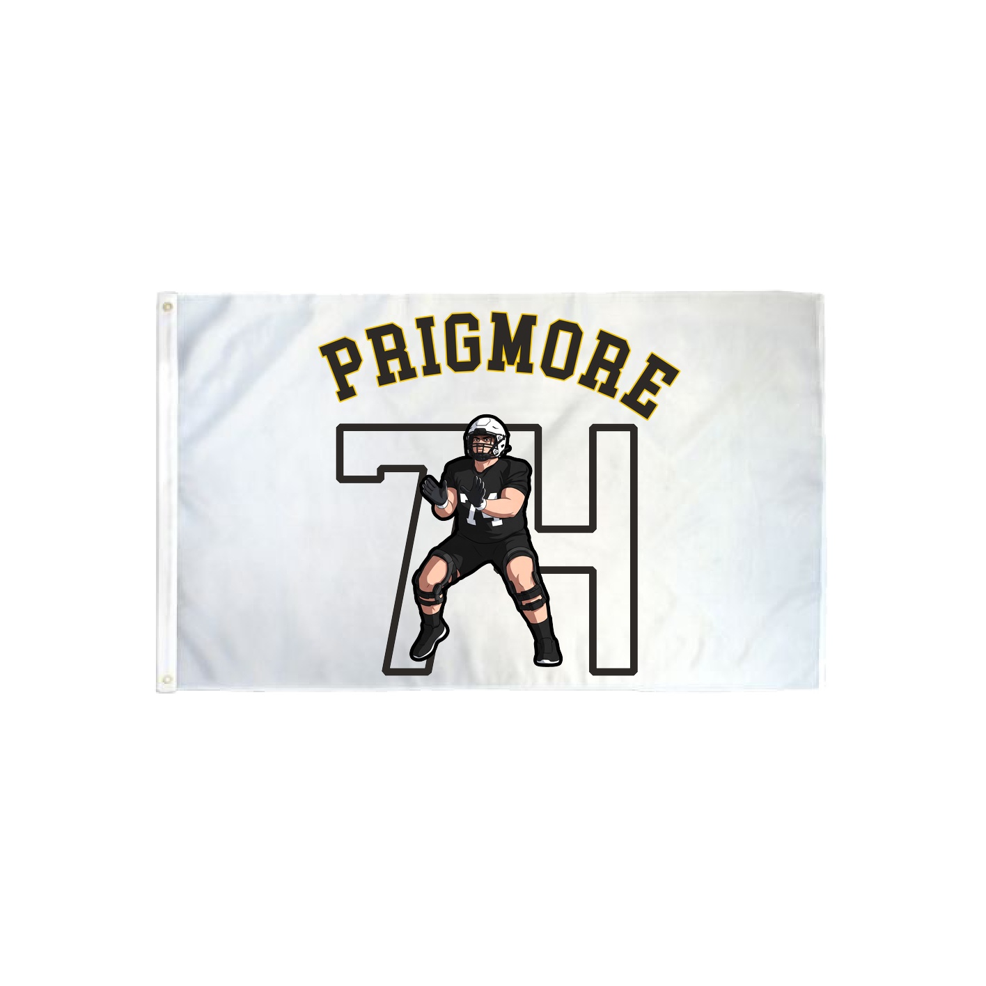 3x5 Flag — Shirsey Arch in Classic