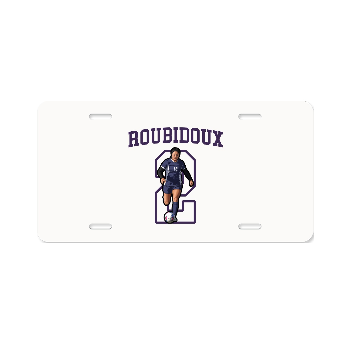 Aluminum License Plate