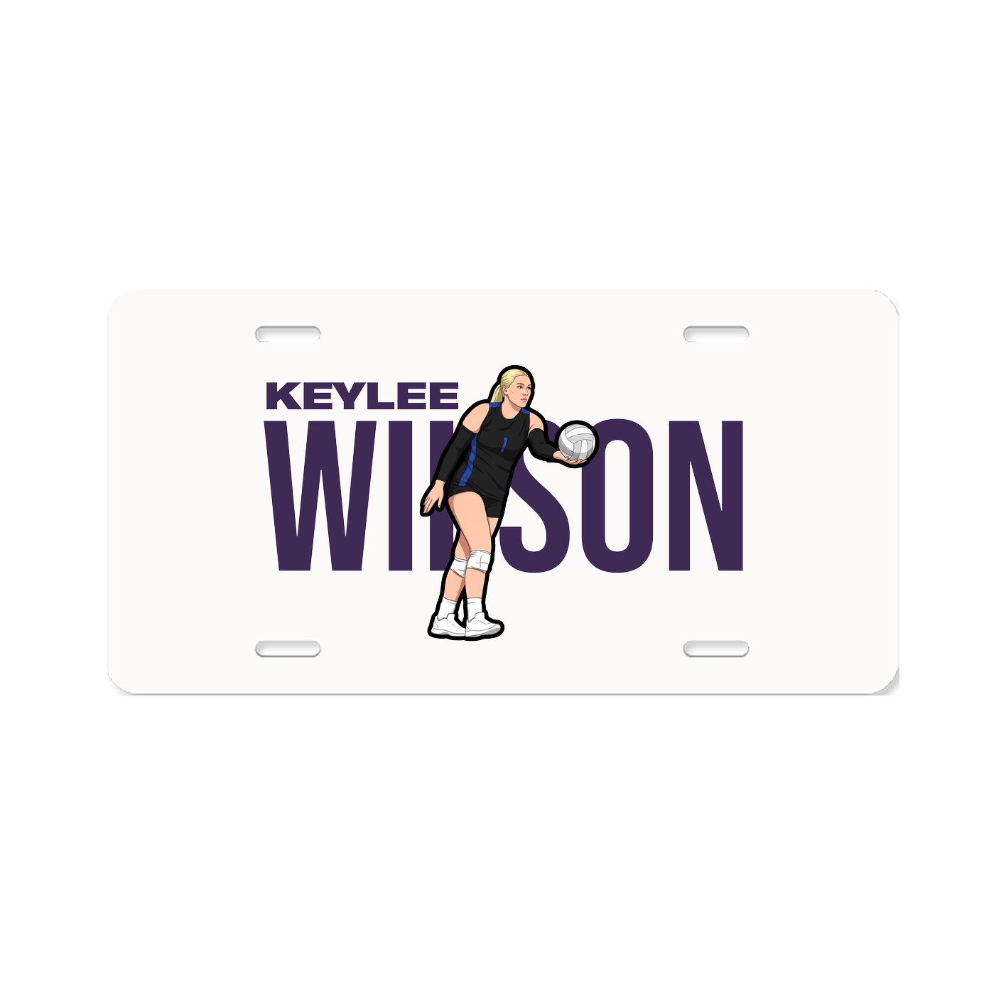 License Plate