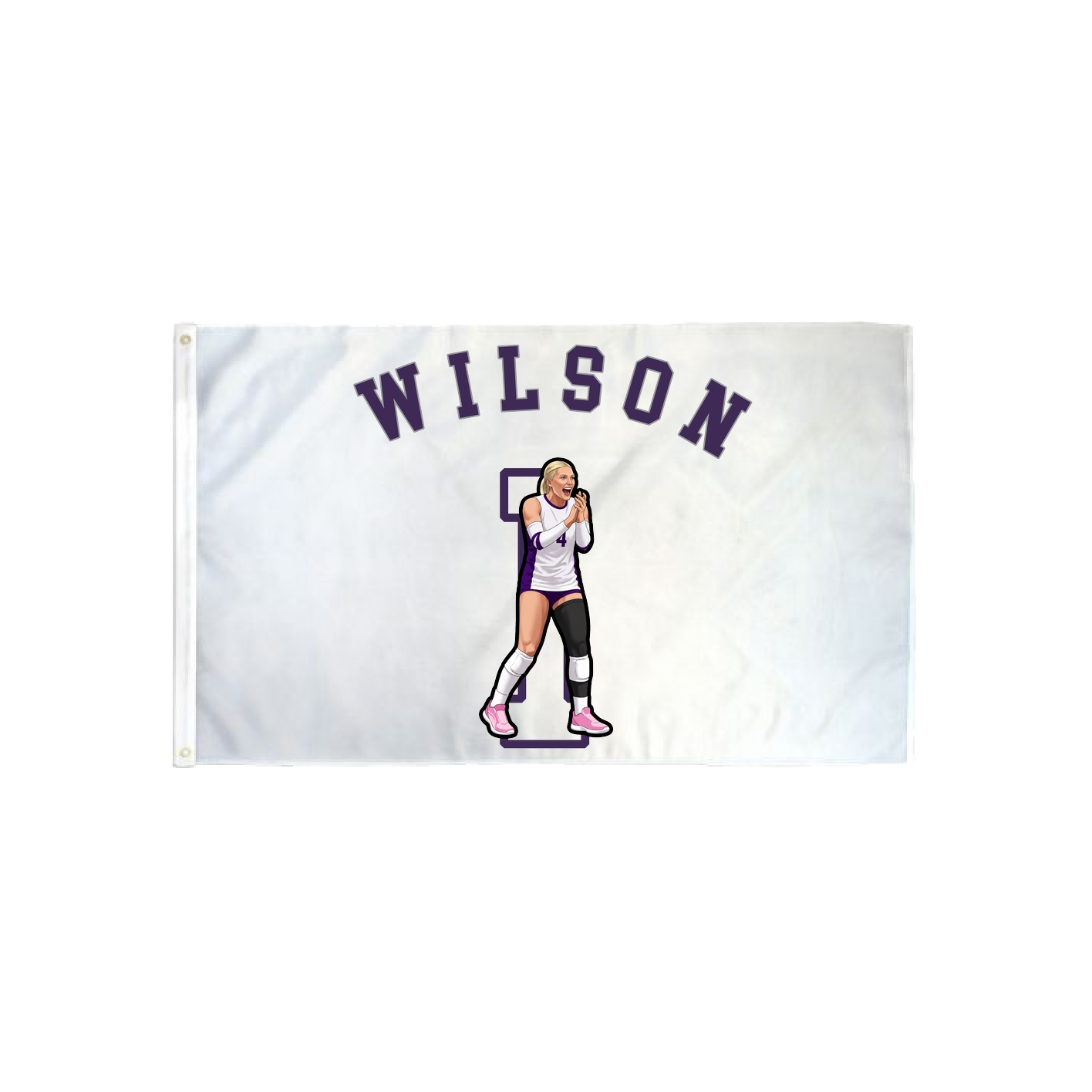 3x5 Flag — Shirsey Arch in Classic