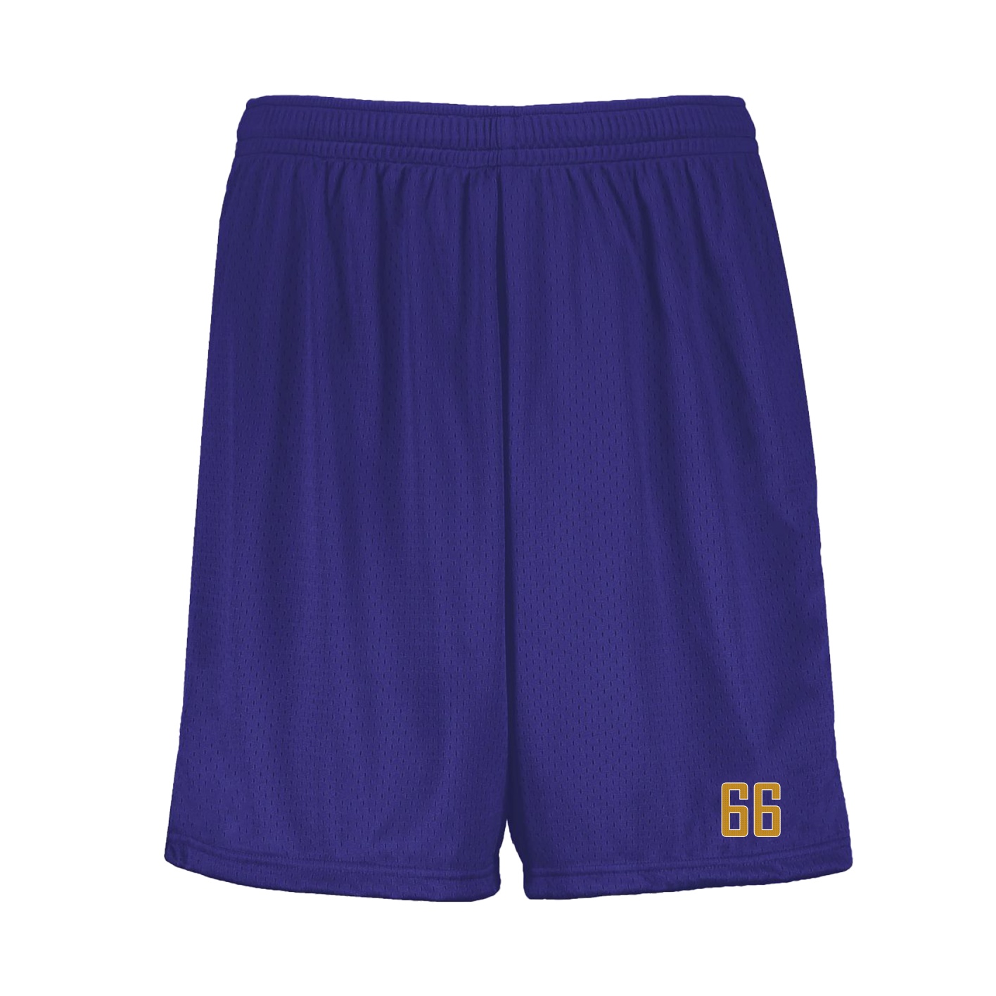 Shorts — Front Shirsy in Purple