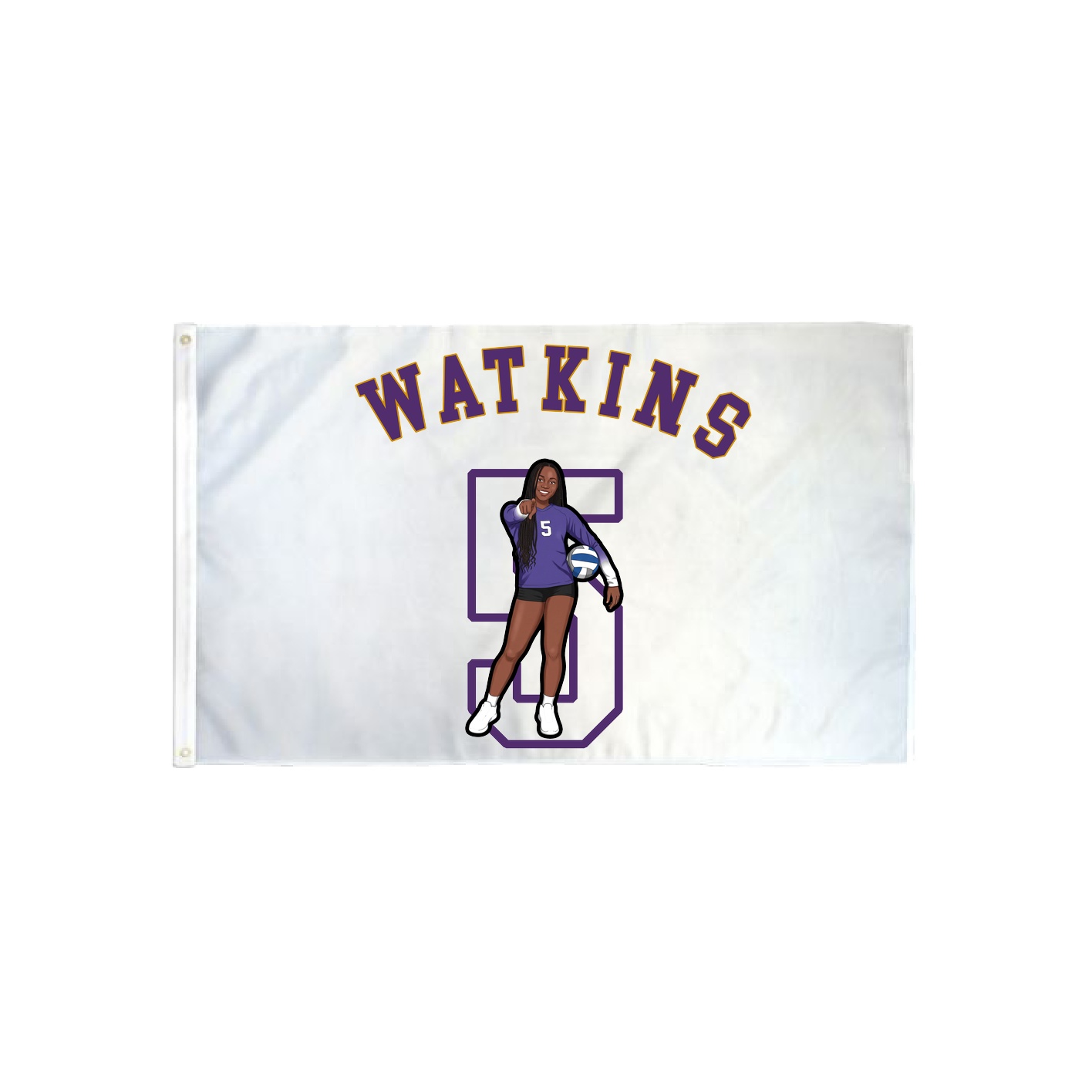 3x5 Flag — Shirsey Arch in Classic