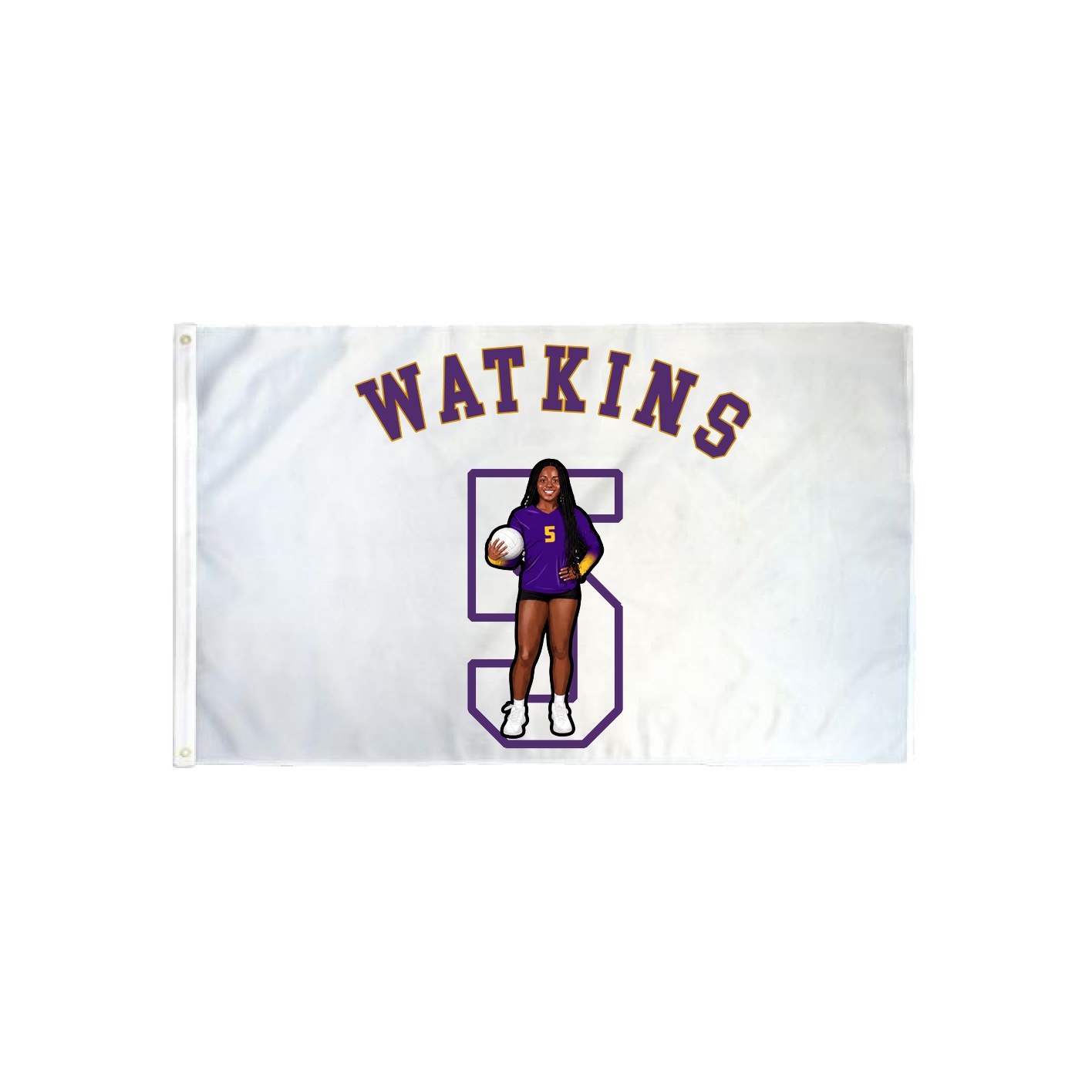3x5 Flag — Shirsey Arch in Classic