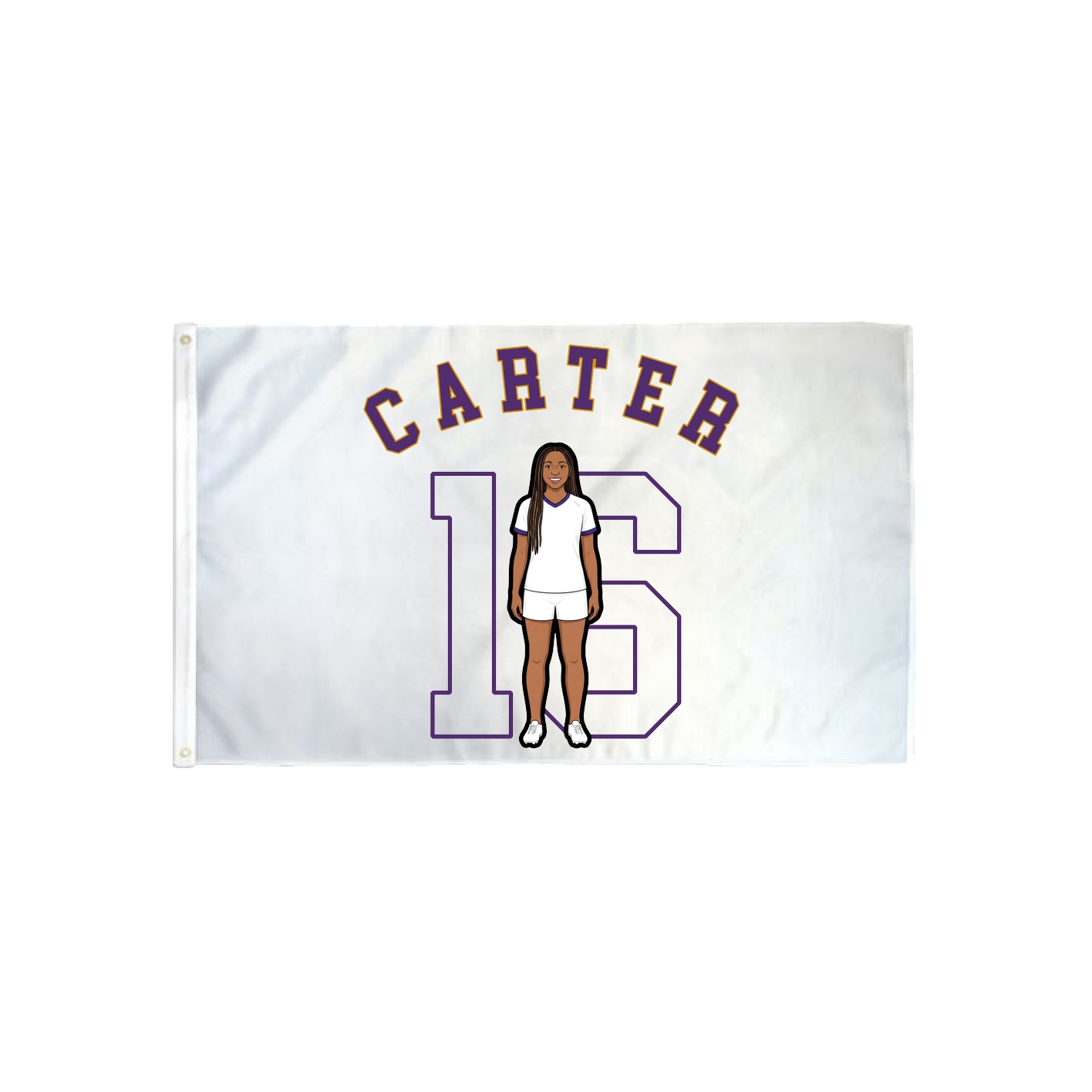 3x5 Flag — Shirsey Arch in Classic