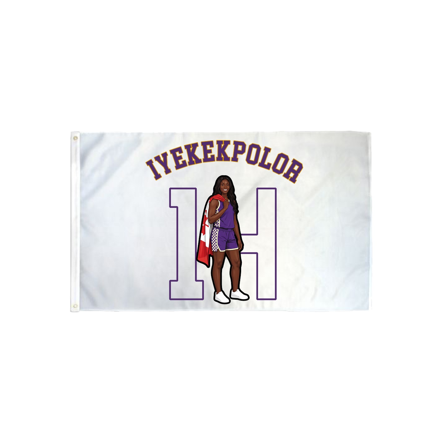 3x5 Flag — Shirsey Arch in Classic