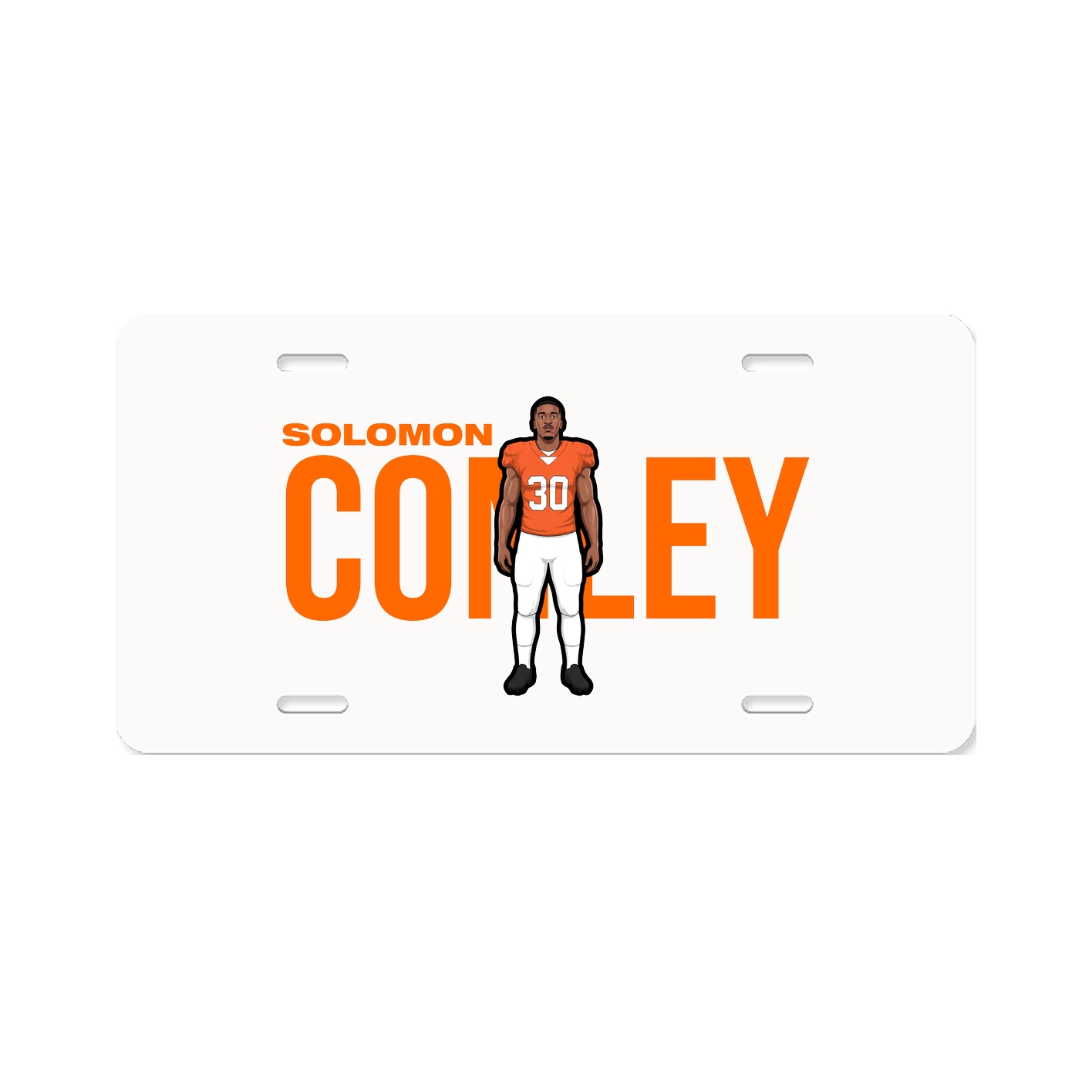 License Plate