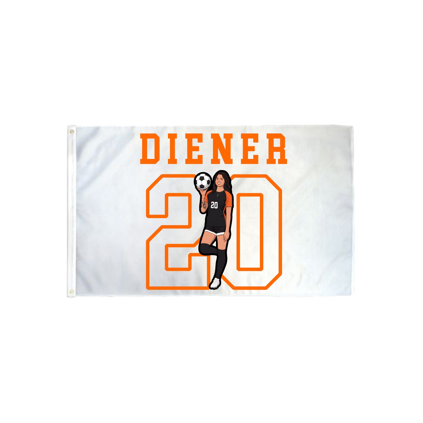 3x5 Flag — Shirsey in Classic